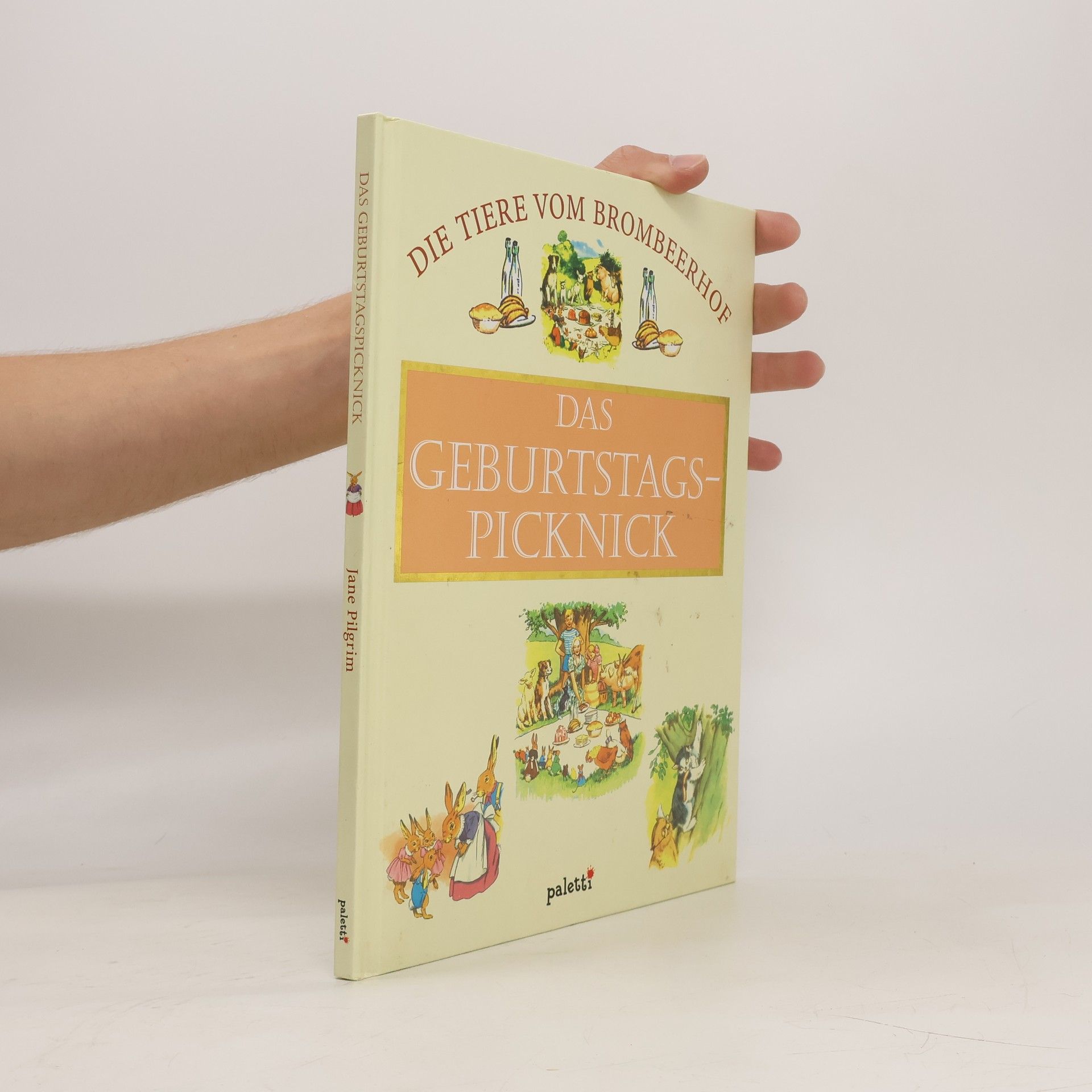 Autorenkollektiv Das Geburtstagspicknick