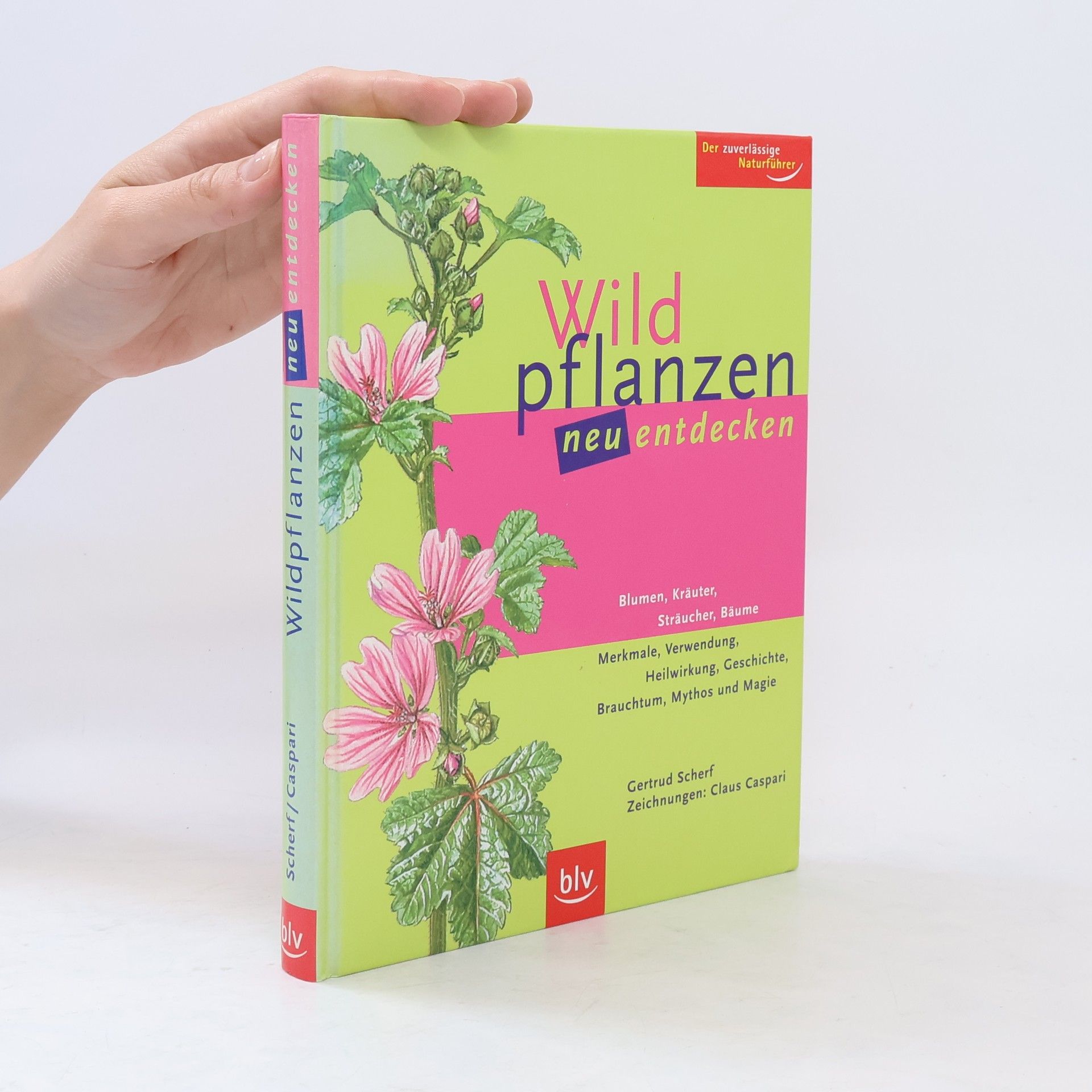 Gertrud Scherf Wildpflanzen neu entdecken