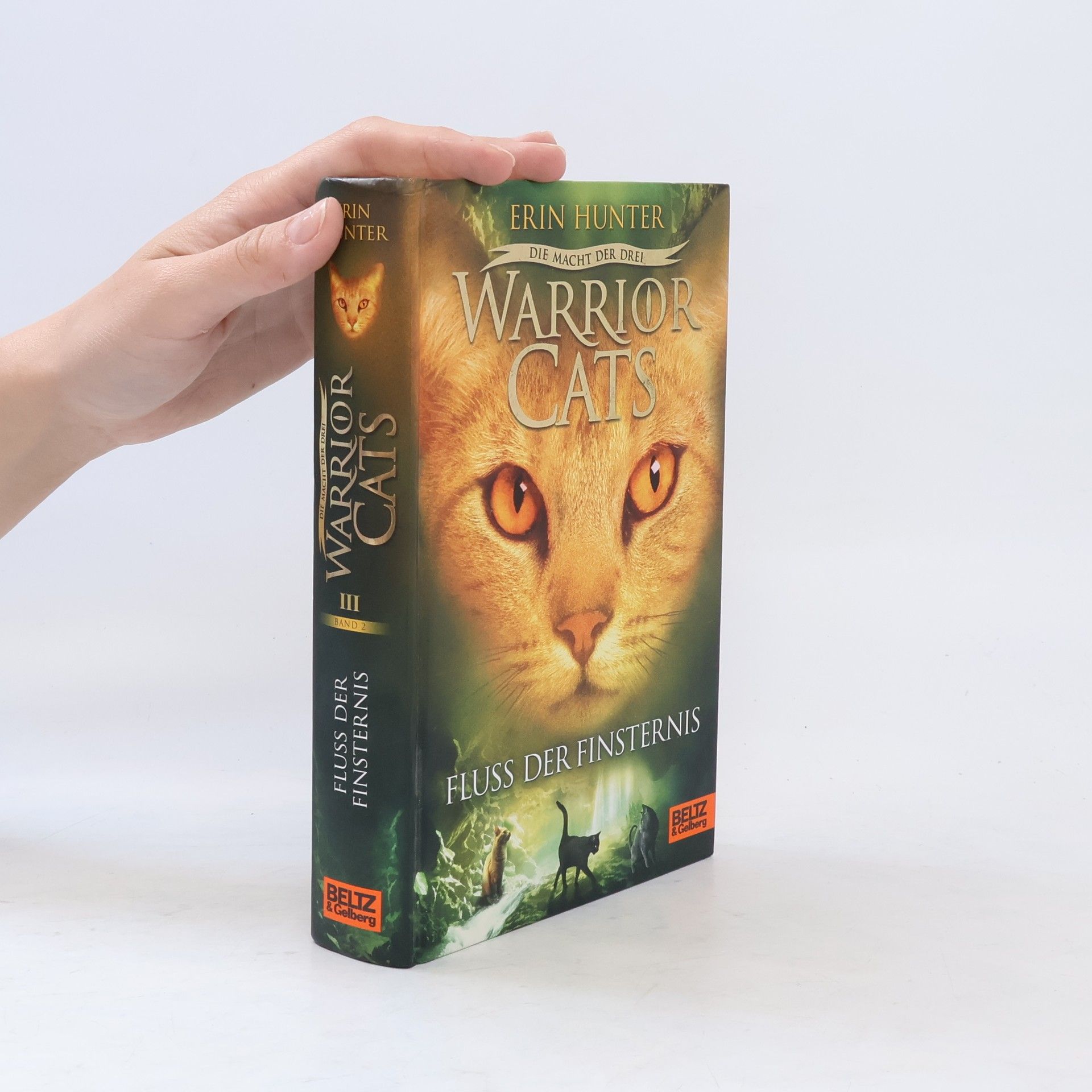Erin Hunter Warrior Cats. Fluss der Finsternis