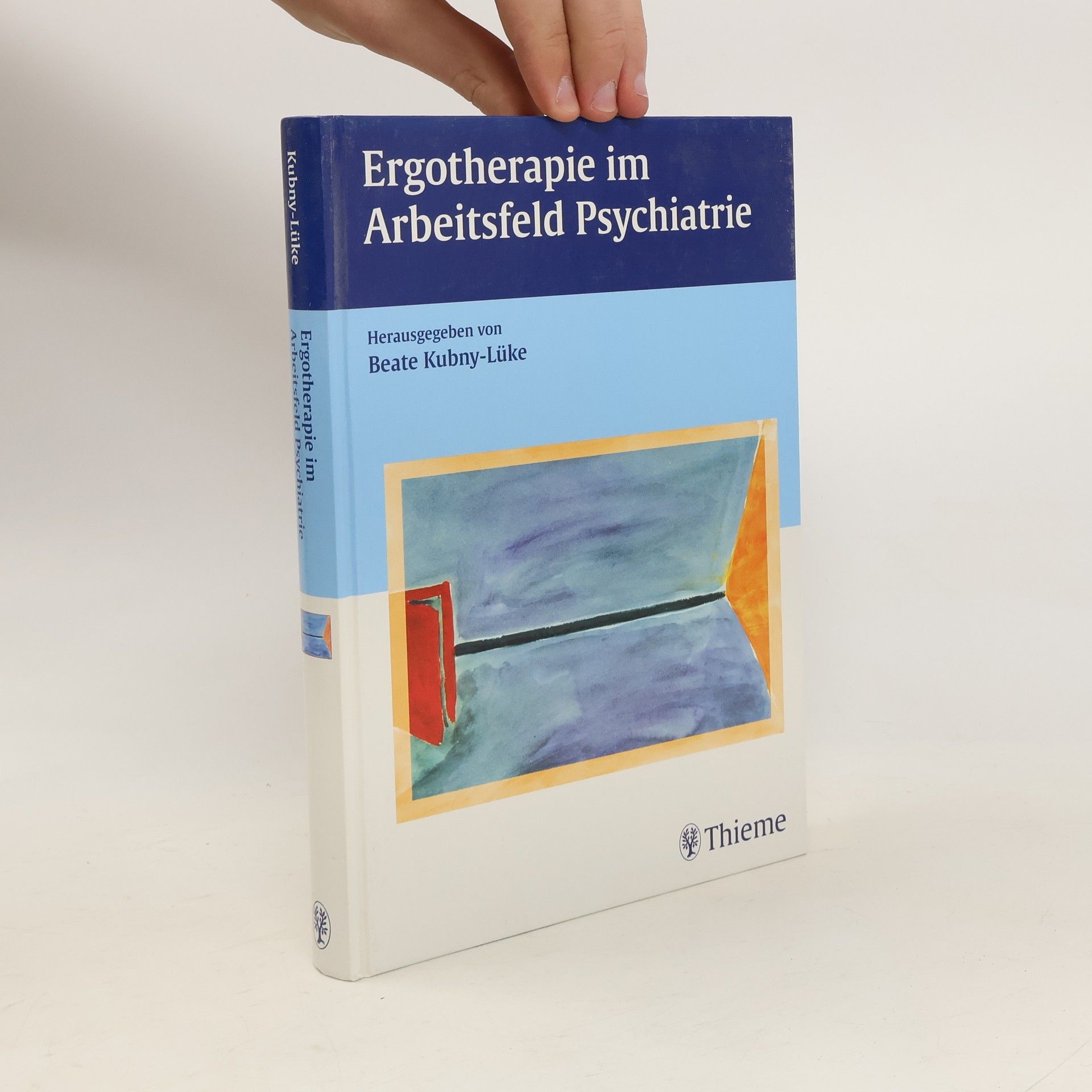 Beate Kubny-Lüke Ergotherapie im Arbeitsfeld Psychiatrie