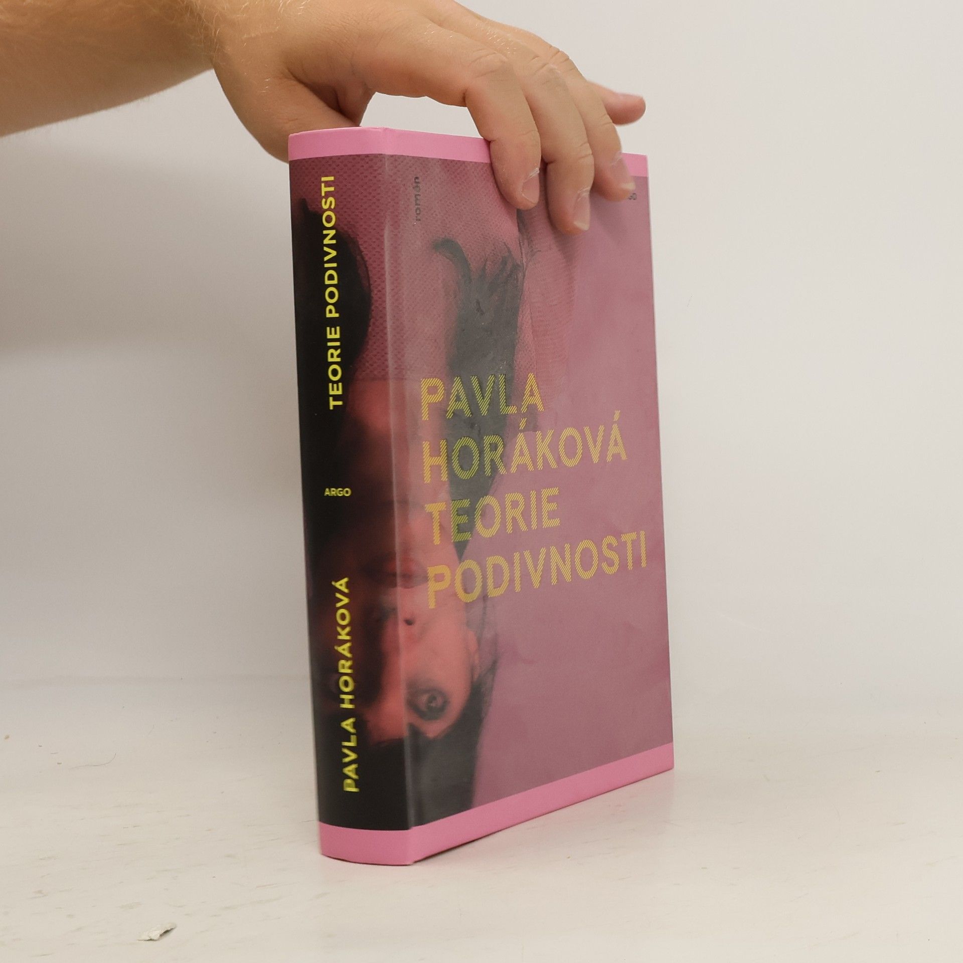 Pavla Horáková Teorie podivnosti