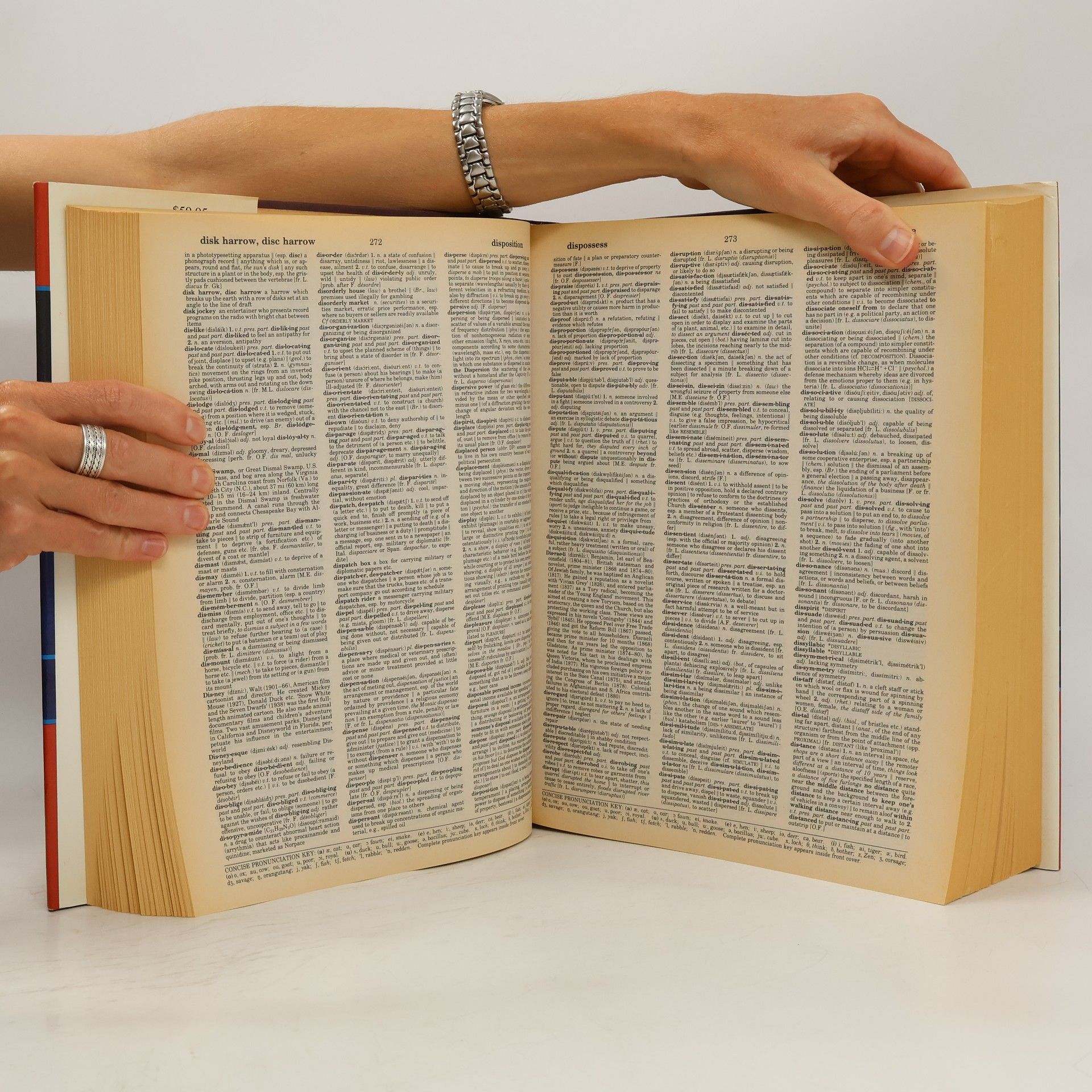 kolektiv New Webster's Dictionary and Thesaurus of the English Language
