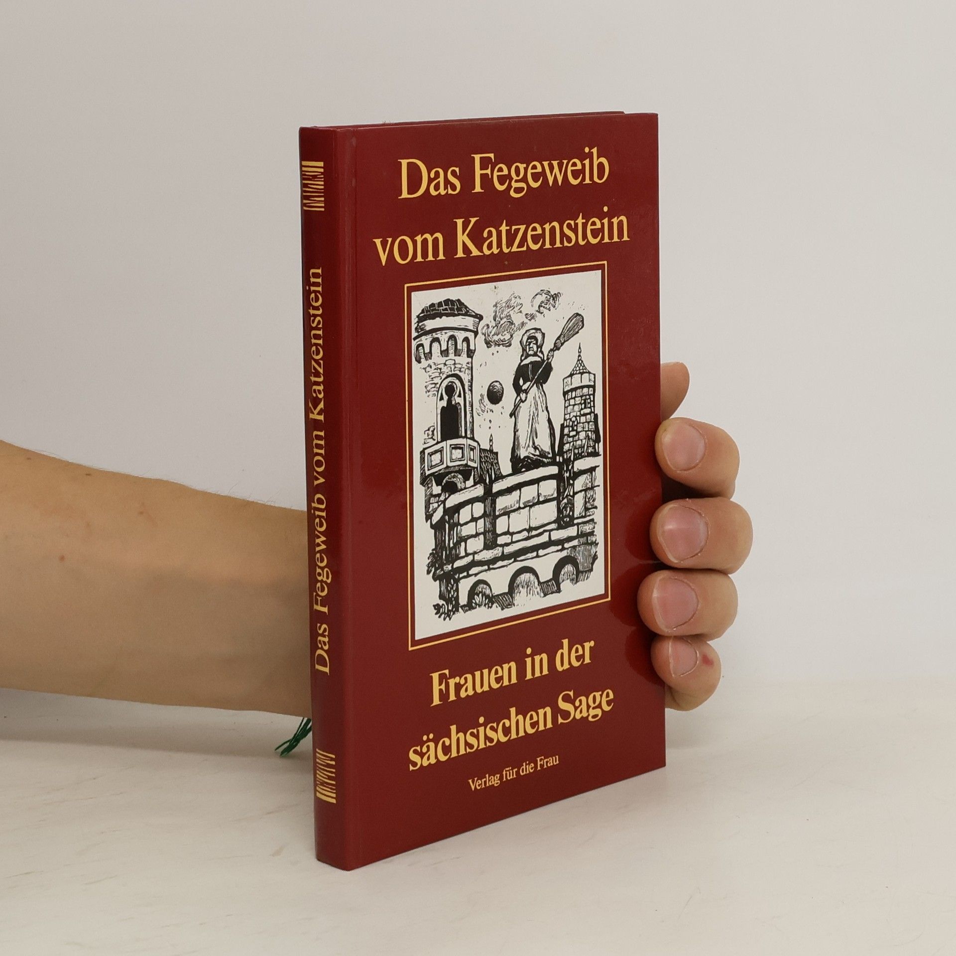 Dietmar Werner Das Fegeweib vom Katzenstein