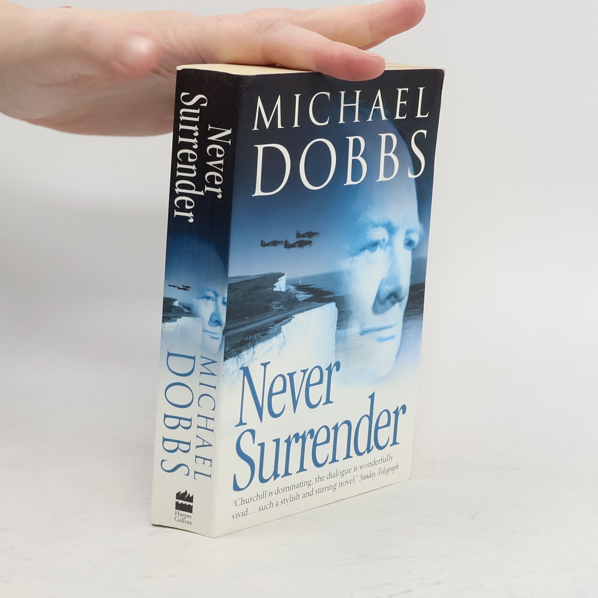 Michael Dobbs Never Surrender