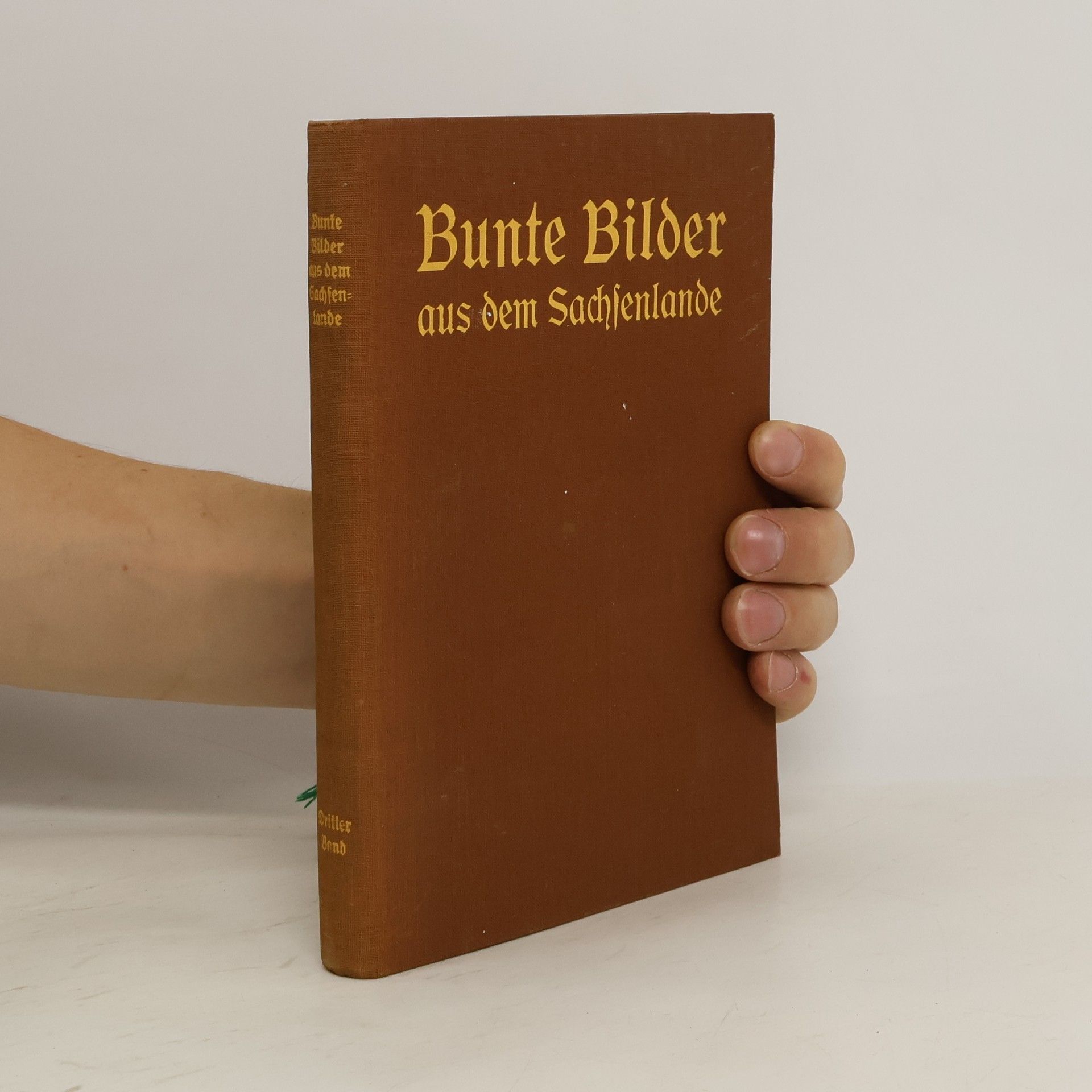 Autores varios Bunte Bilder aus dem Sachsenlande. Dritter Band