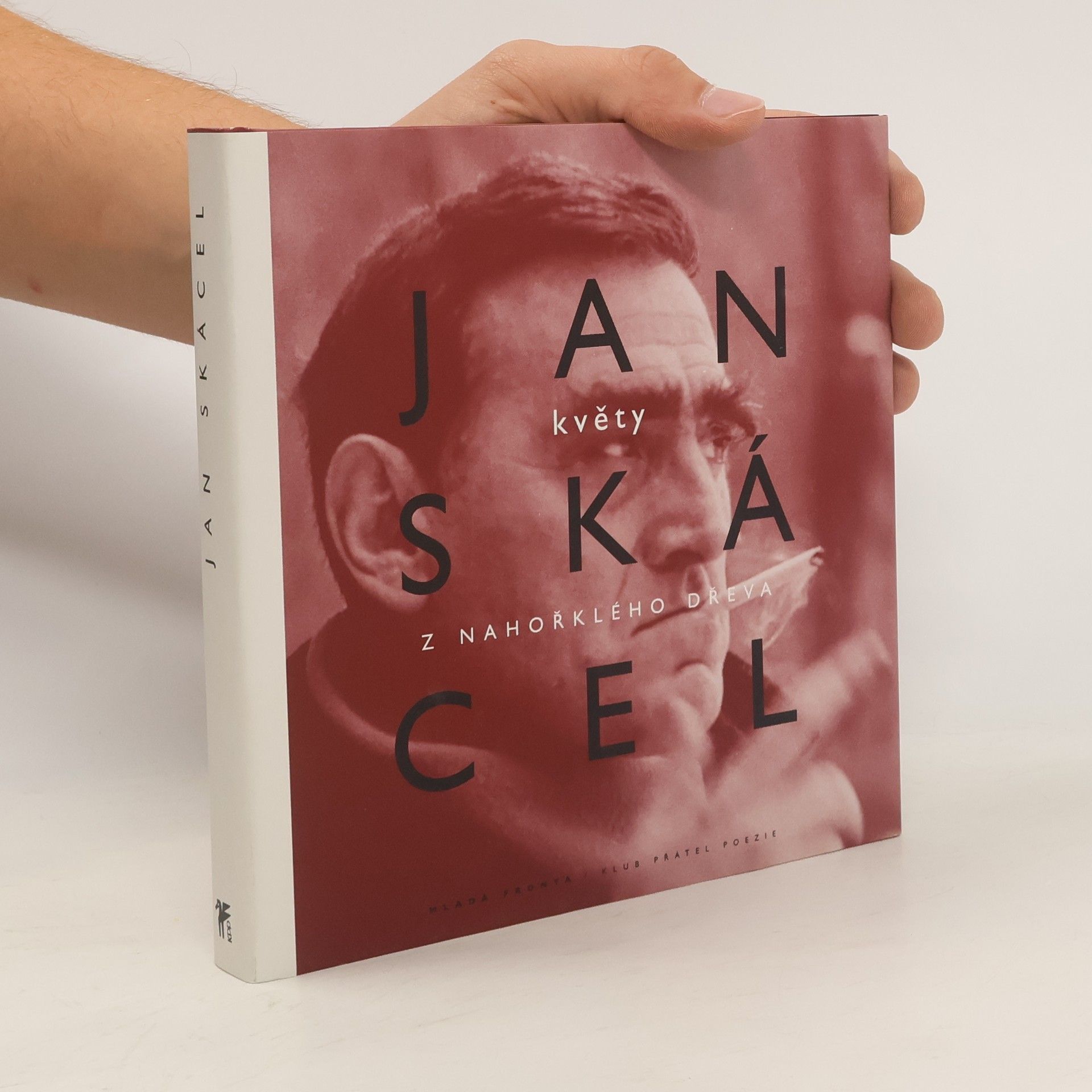 Jan Skácel Květy z nahořklého dřeva
