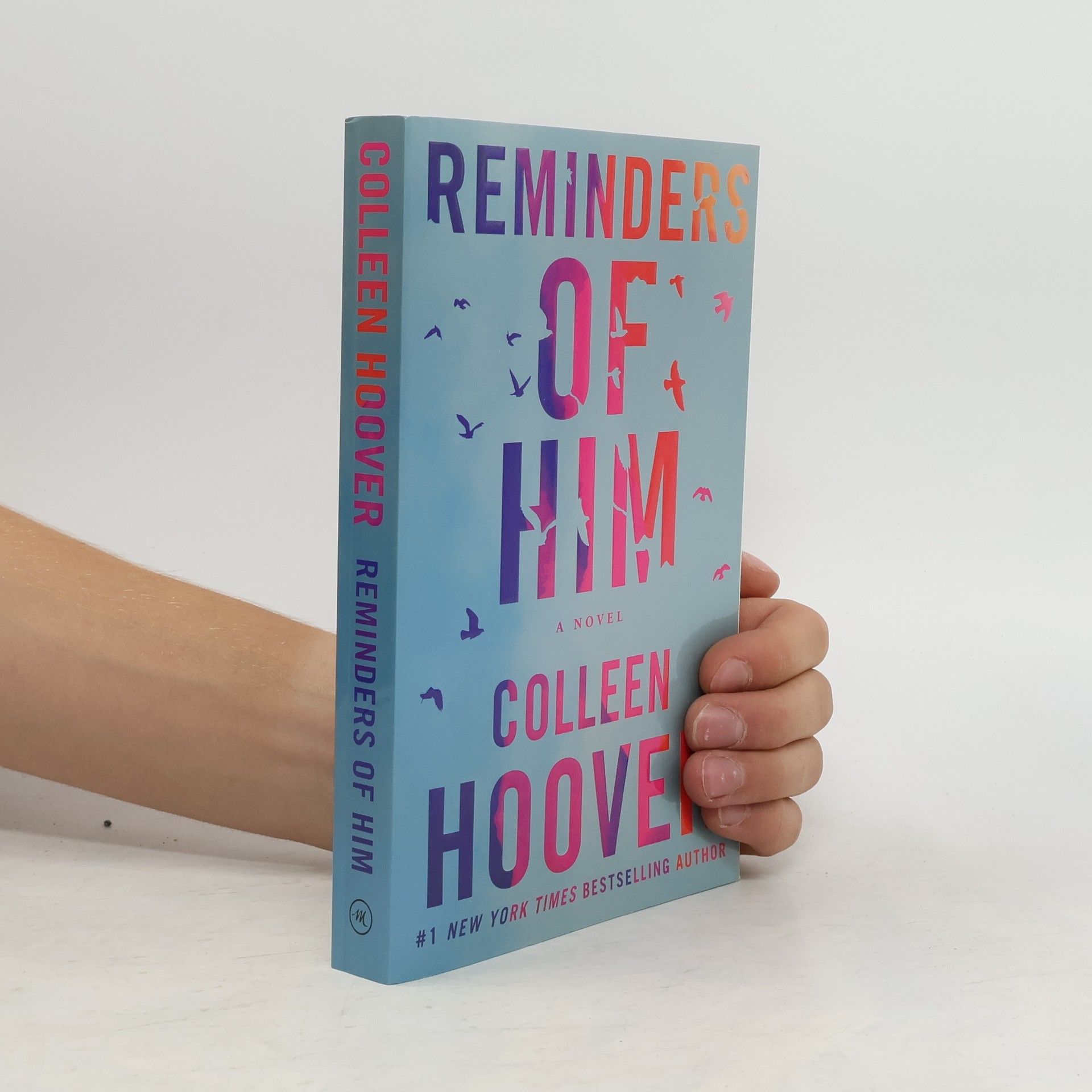 Colleen Hoover Reminders of him
