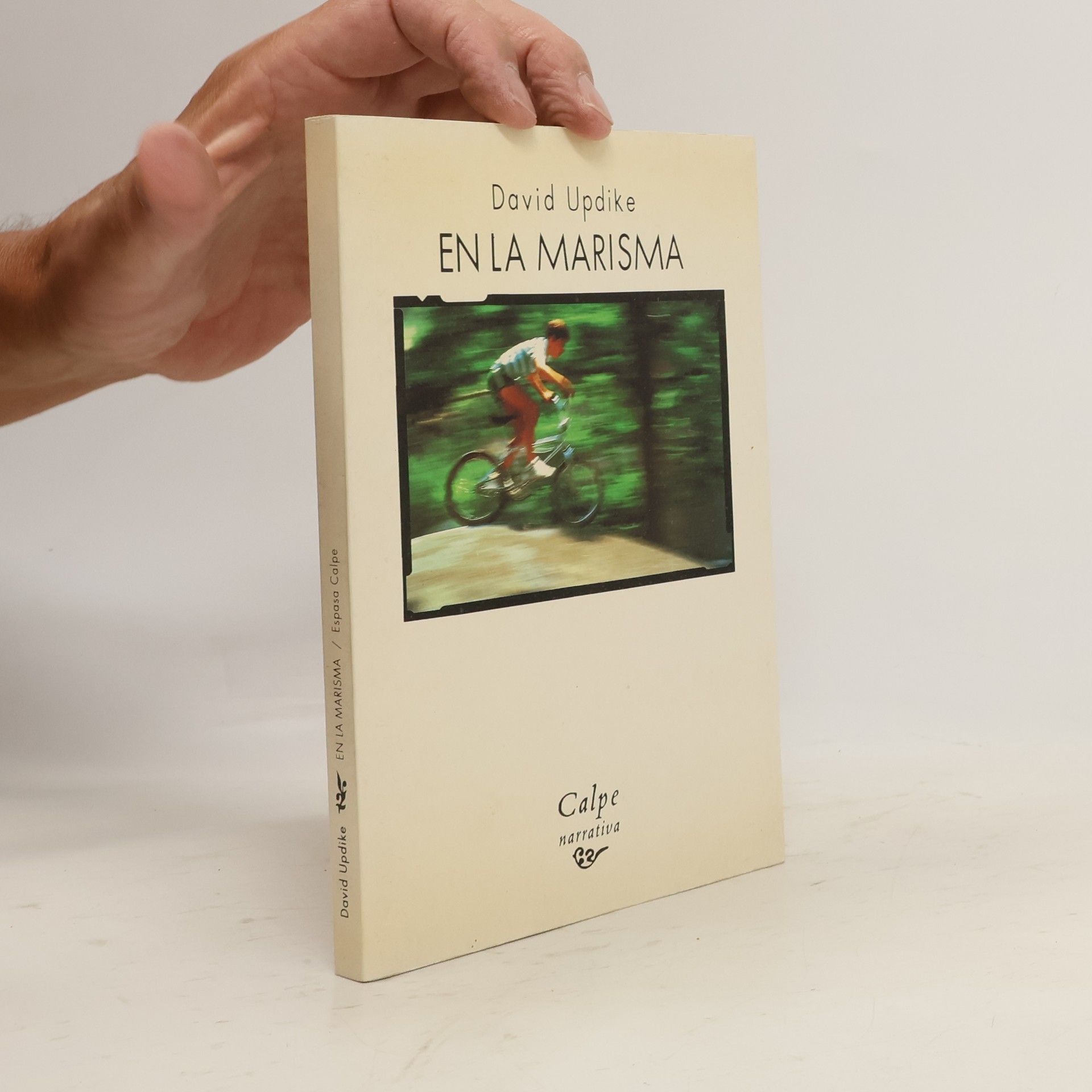 David Updike En la Marisma