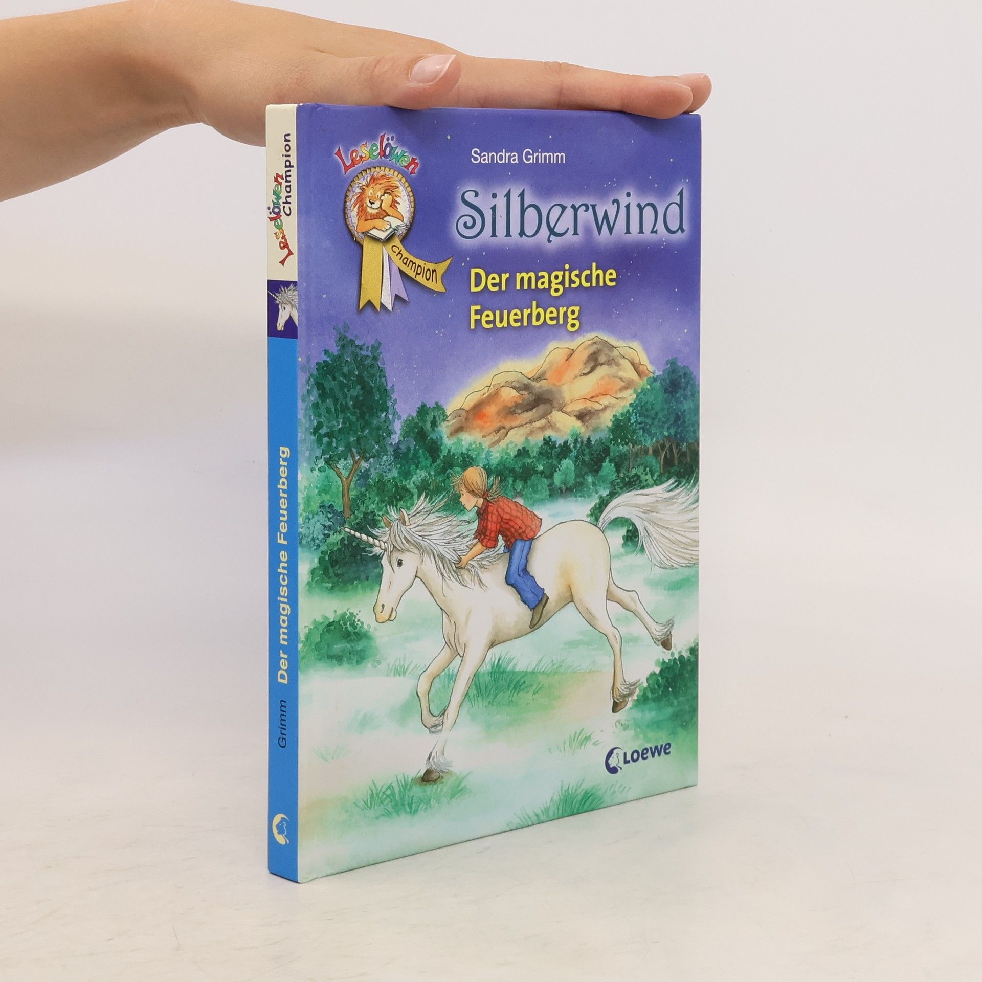 Sandra Grimm Silberwind - Der magische Feuerberg