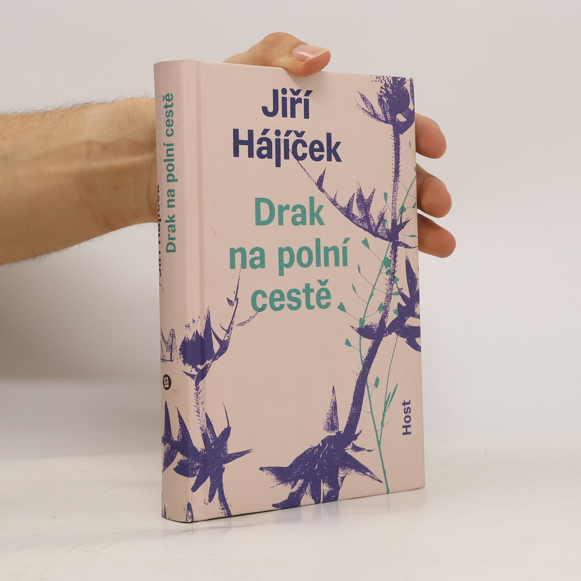 Jiří Hájíček Drak na polní cestě