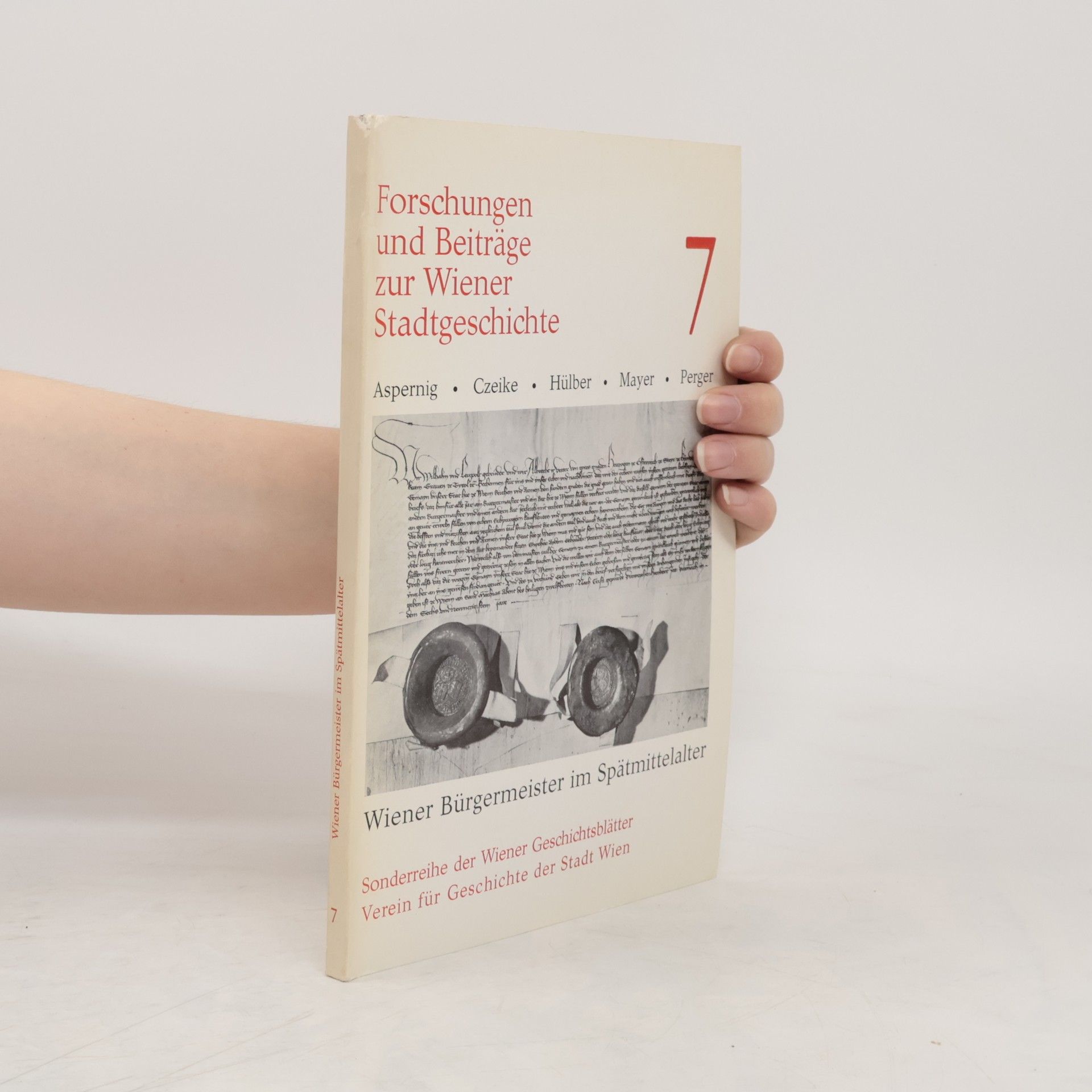 Autorenkollektiv Wiener Bürgermeister im Spätmittelalter