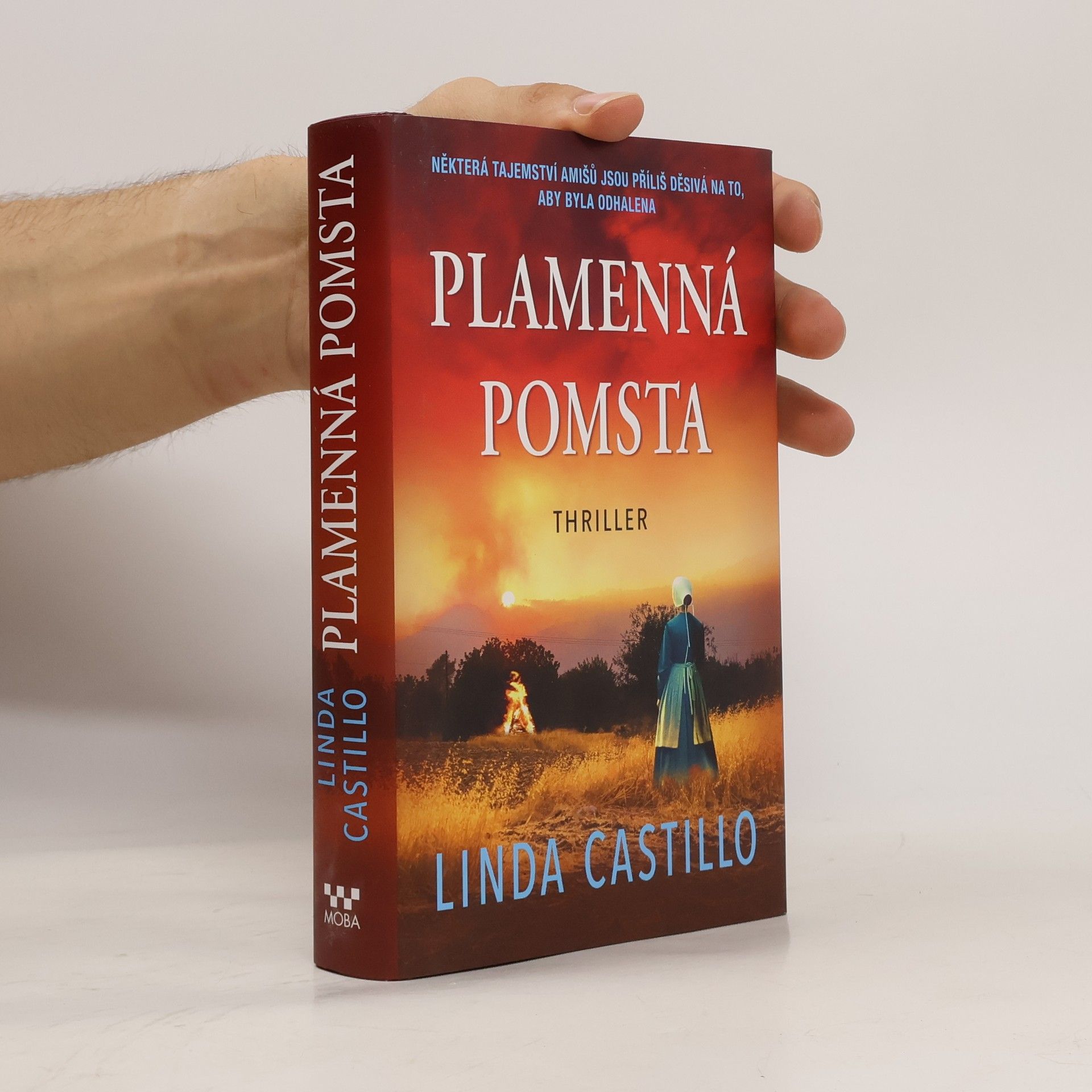 Plamenná pomsta