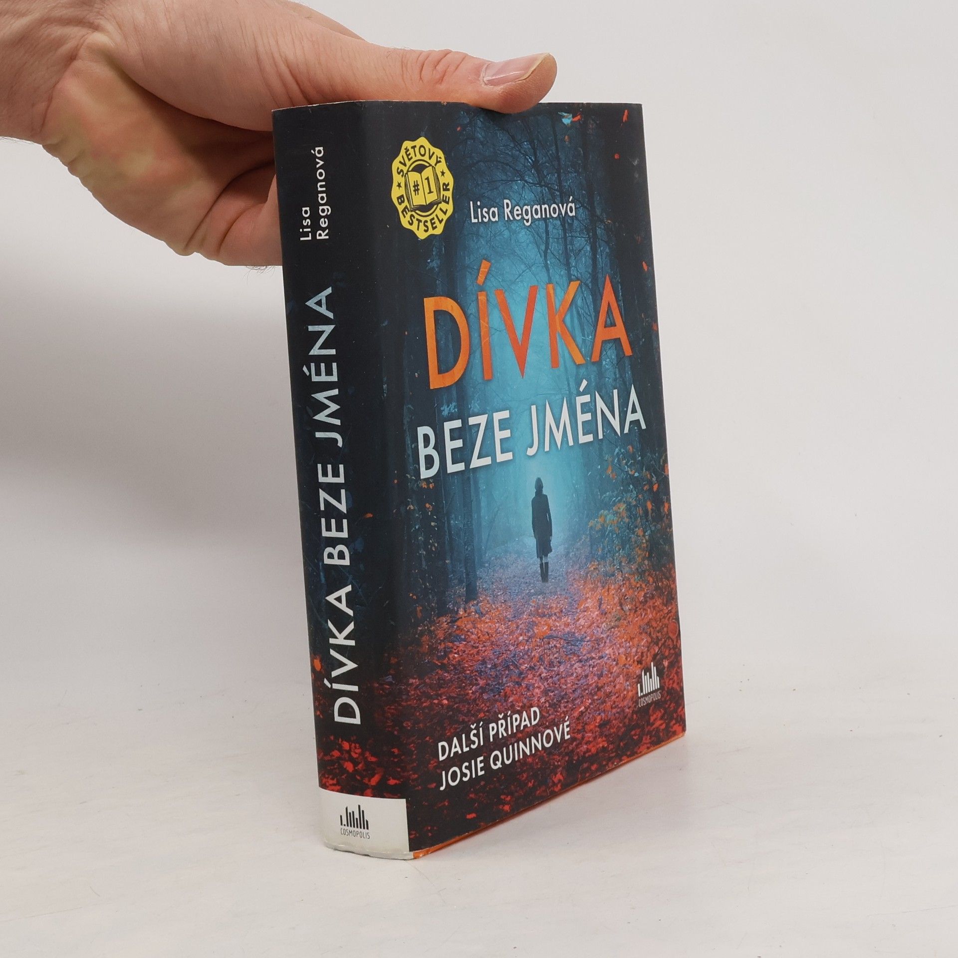 Lisa Regan Dívka beze jména: Další případ Josie Quinnové