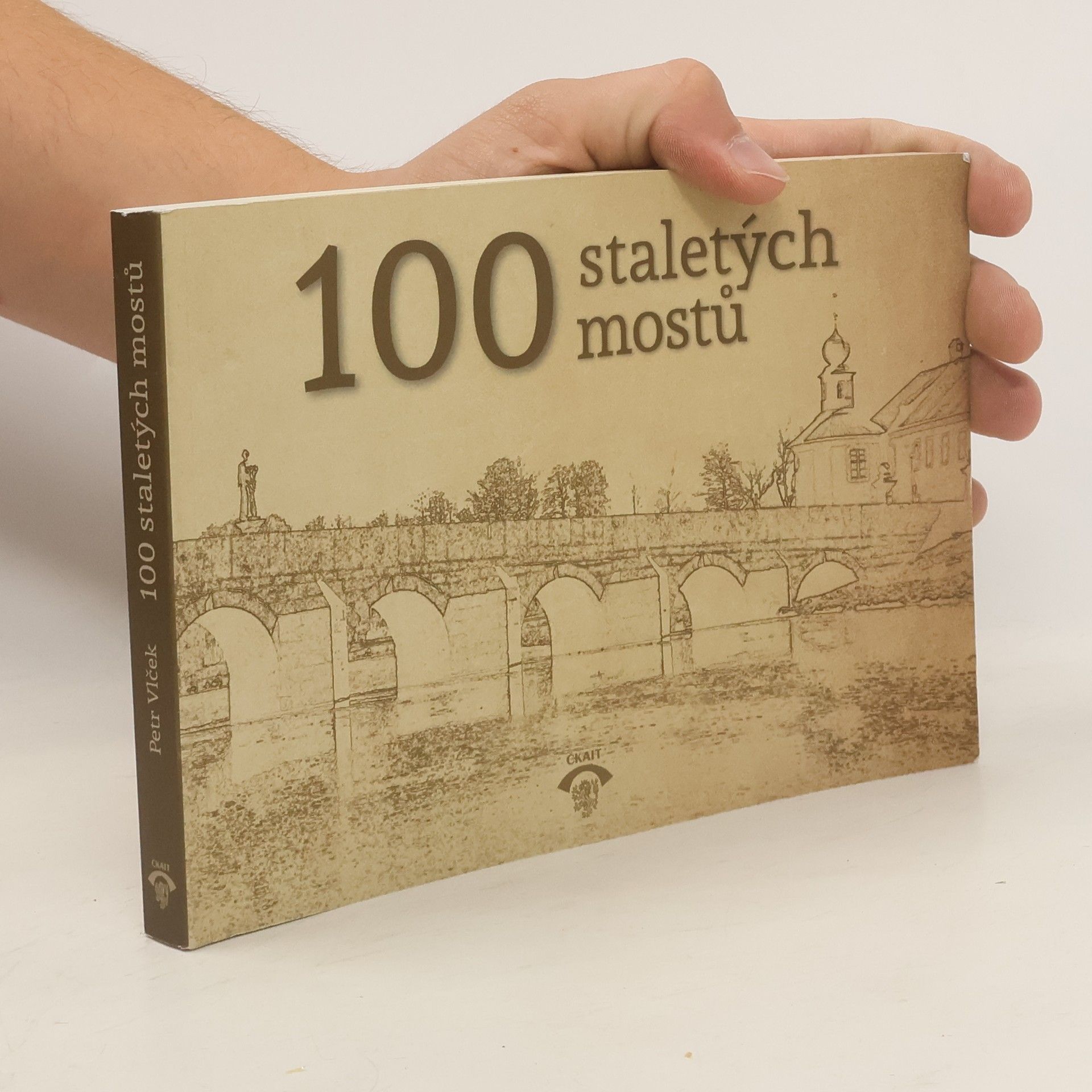 Petr Vlček 100 staletých mostů