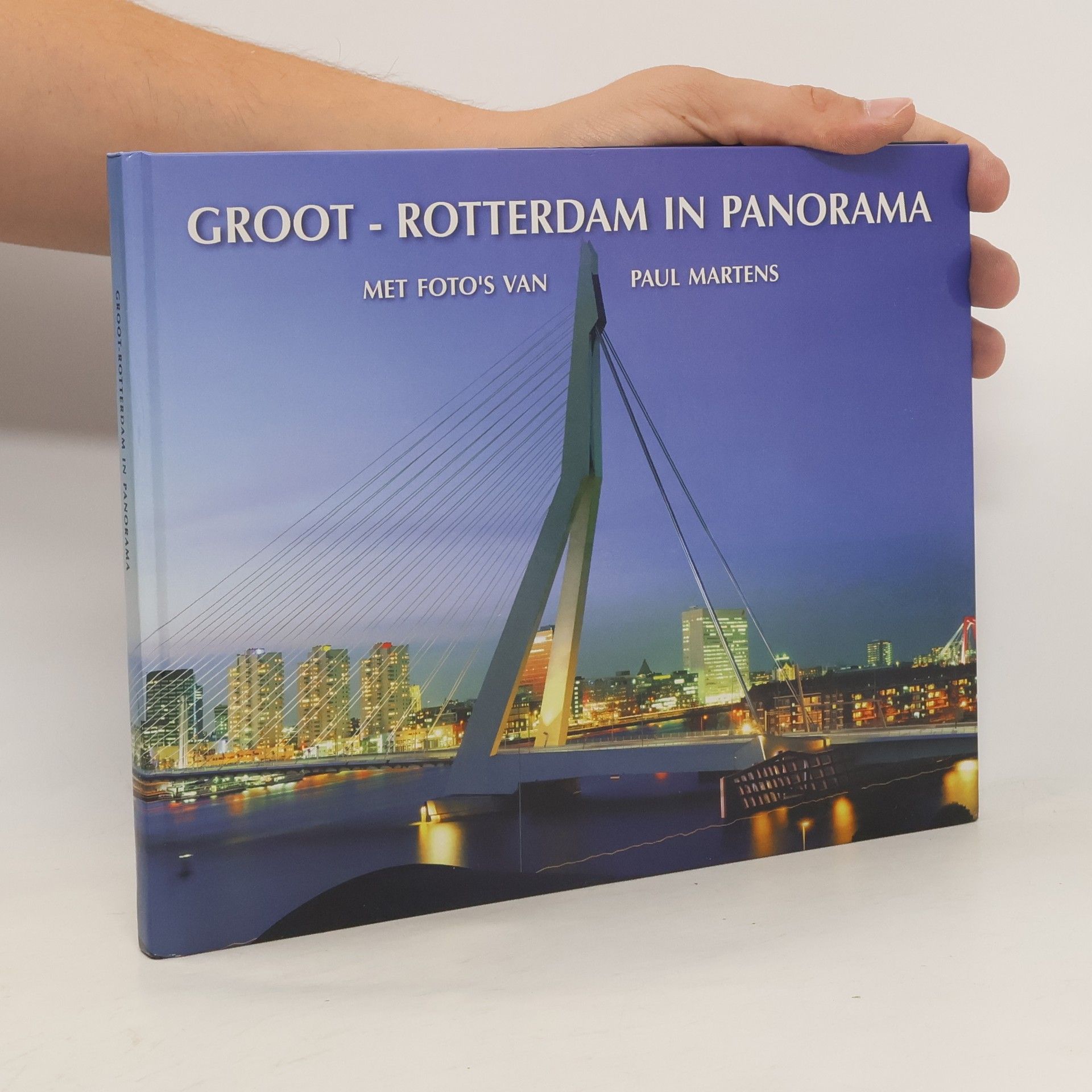 Paul Martens Groot-Rotterdam in panorama