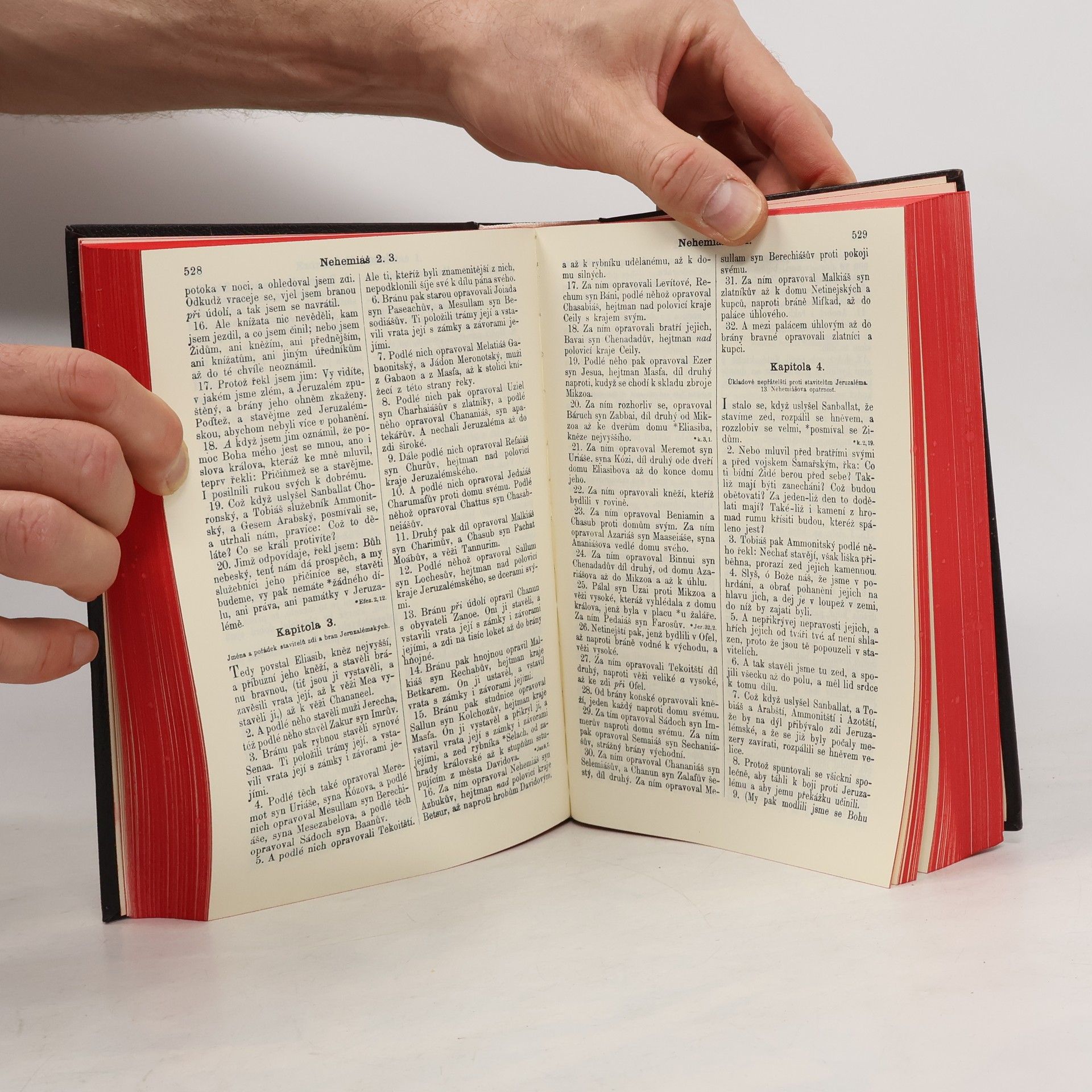 Collectif d'auteurs Biblí Svatá aneb Všecka Svatá Písma Starého i Nového zákona