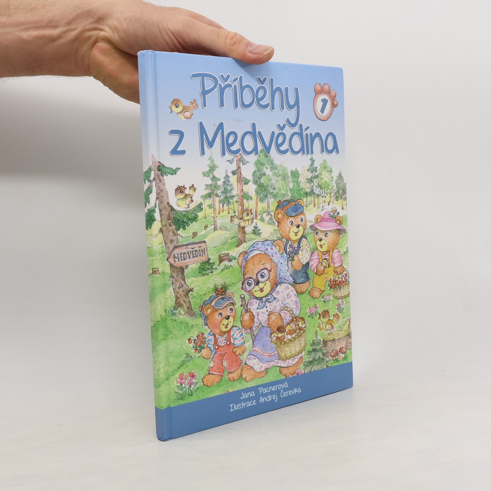 Jana Pacnerová Příběhy z Medvědína. 1