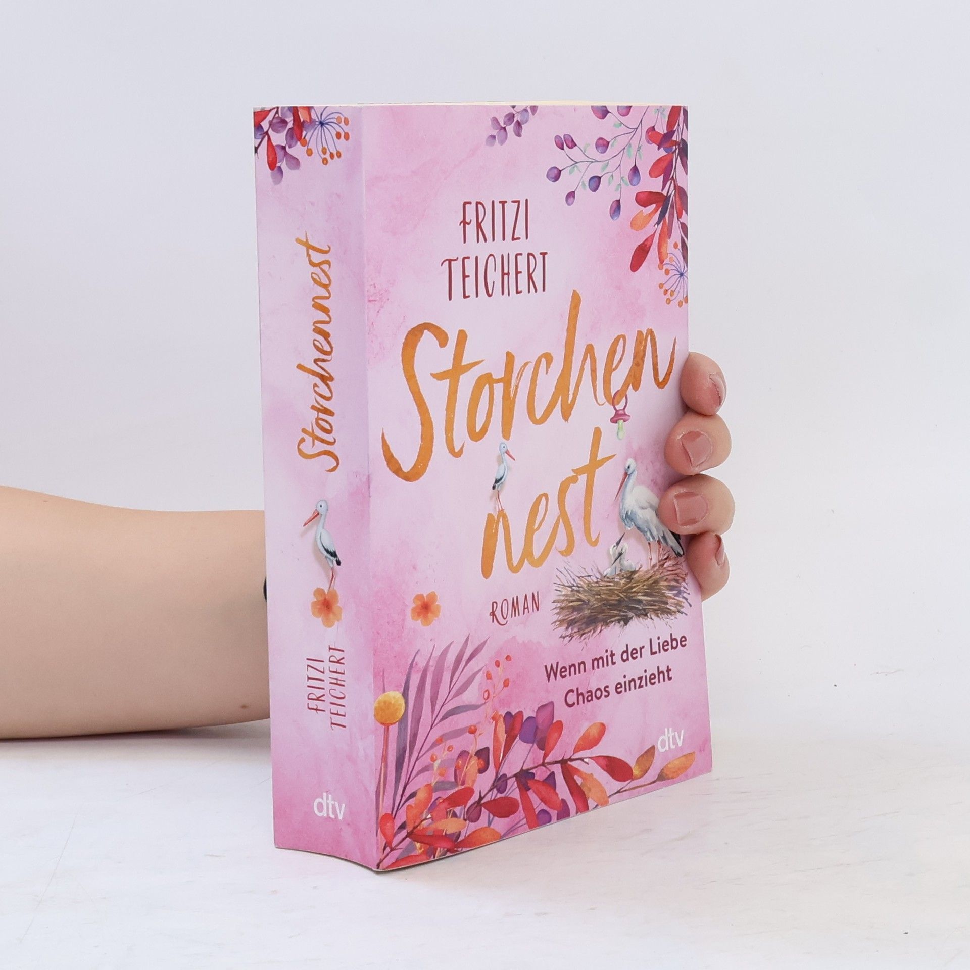 Fritzi Teichert Storchennest - Wenn mit der Liebe Chaos einzieht