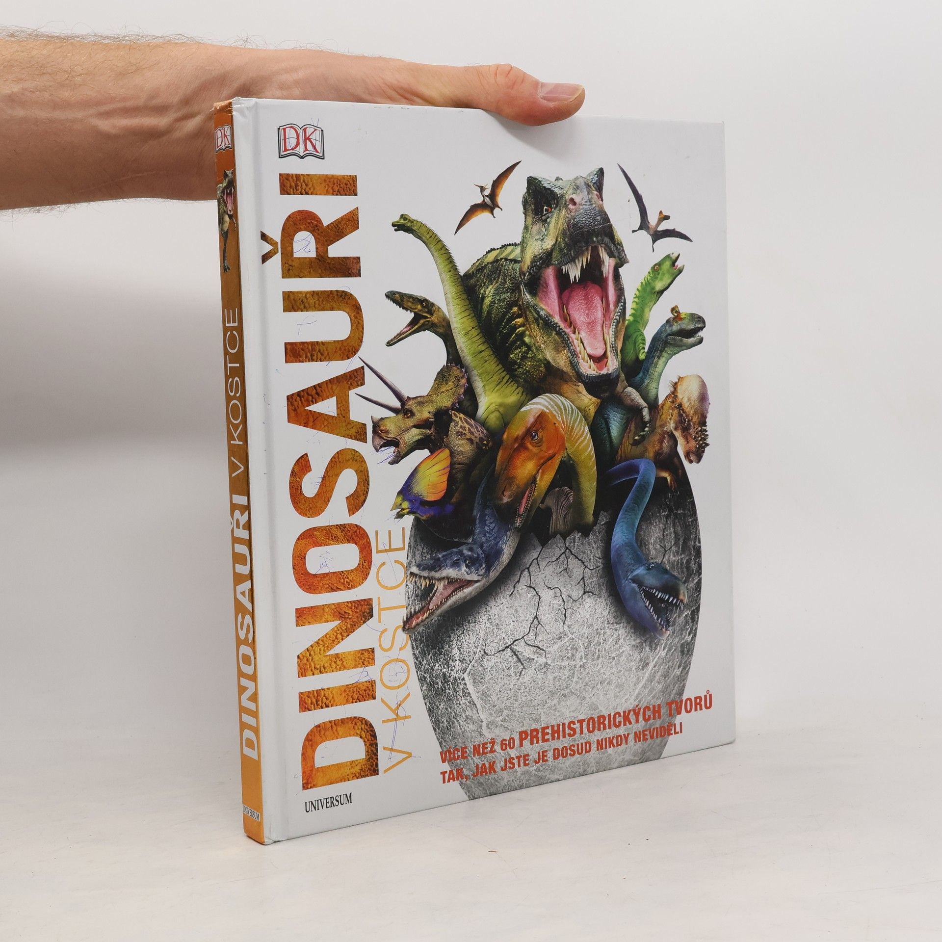Autorenkollektiv Dinosauři v kostce