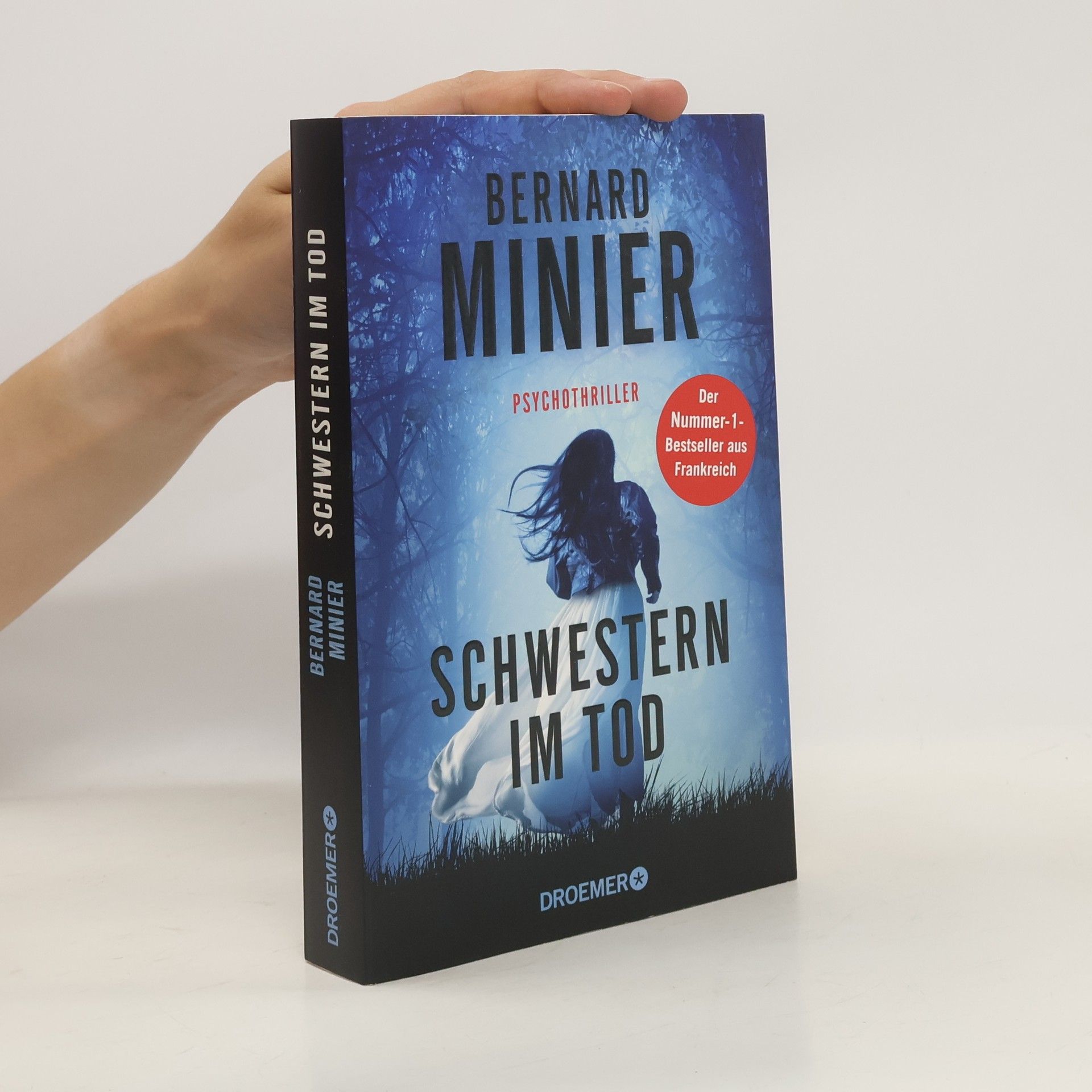 Bernard Minier Schwestern im Tod