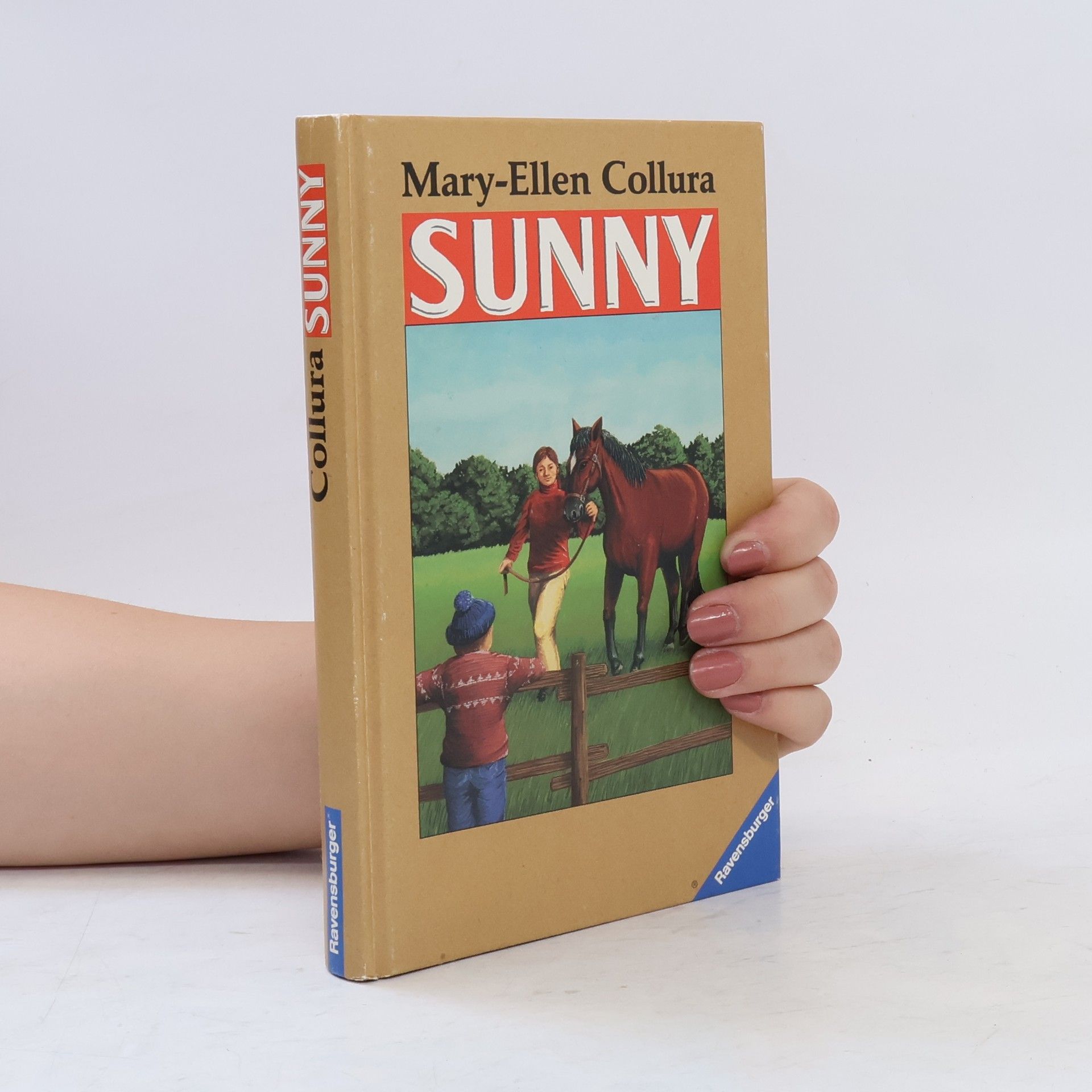 Mary-Ellen Lang Collura Sunny