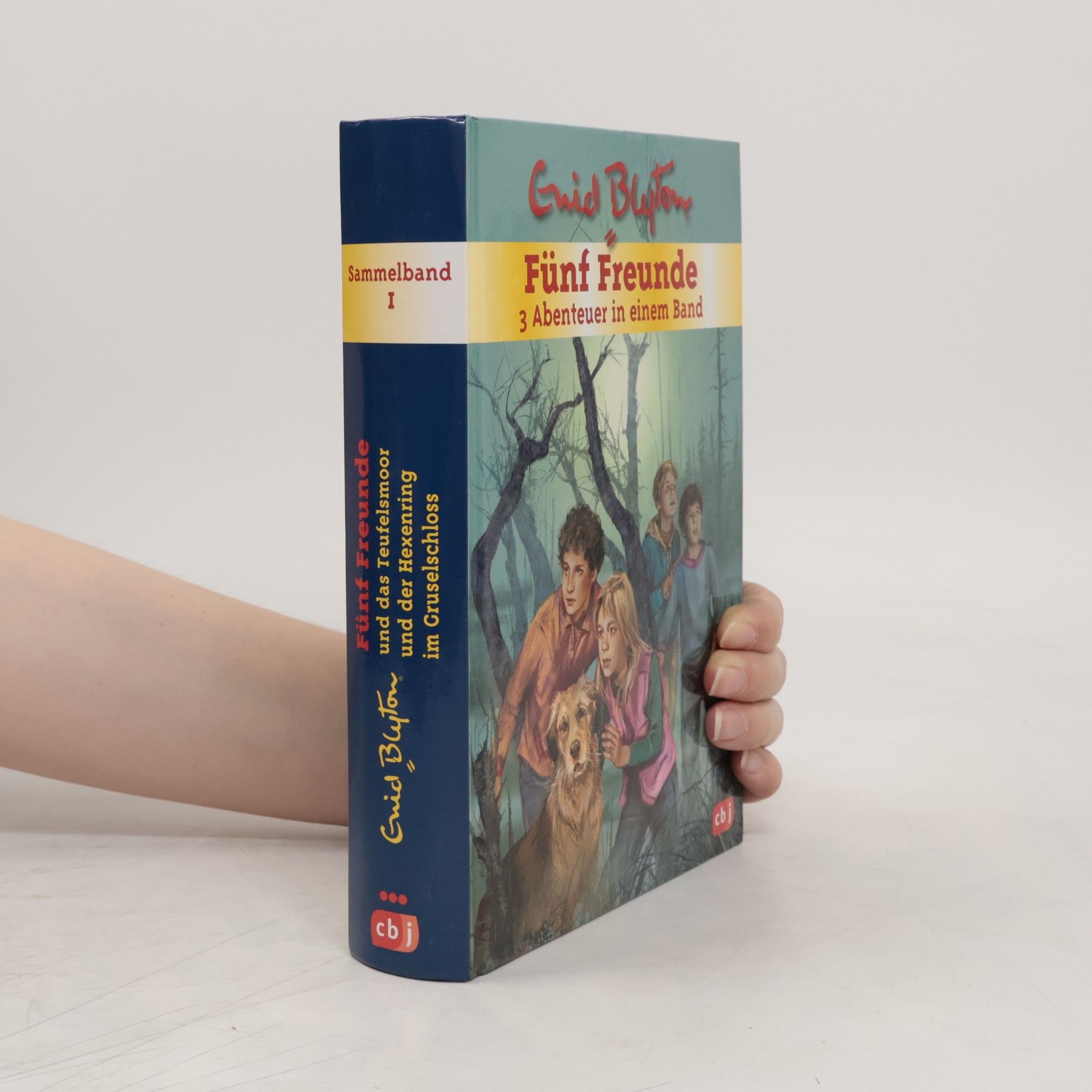 Enid Blyton Sammelband 1. Fünf Freunde. 3 Abenteuer in einem Band
