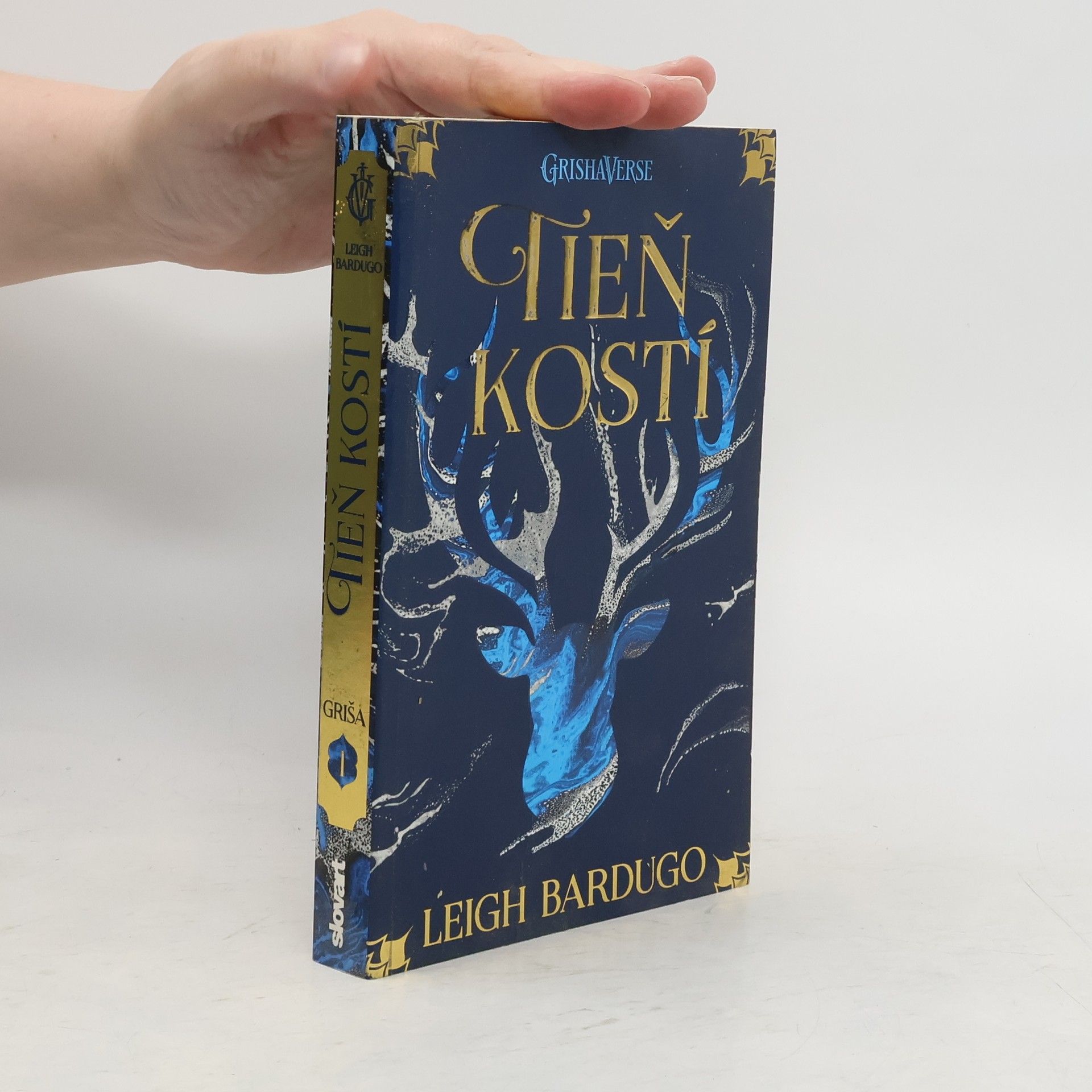 Leigh Bardugo Tieň kostí