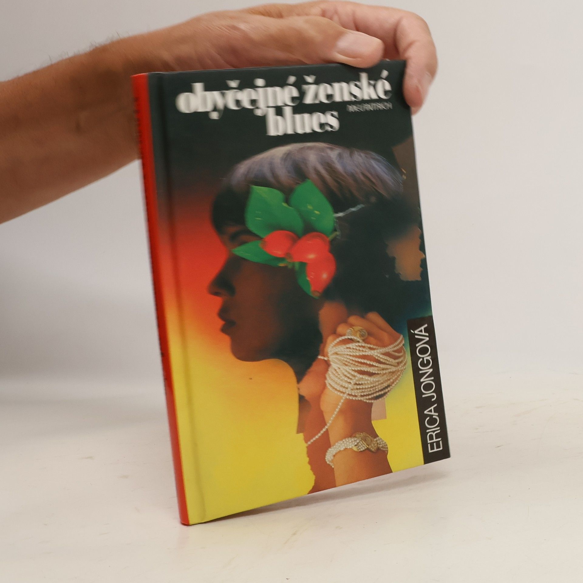 Erica Jong Obyčejné ženské blues