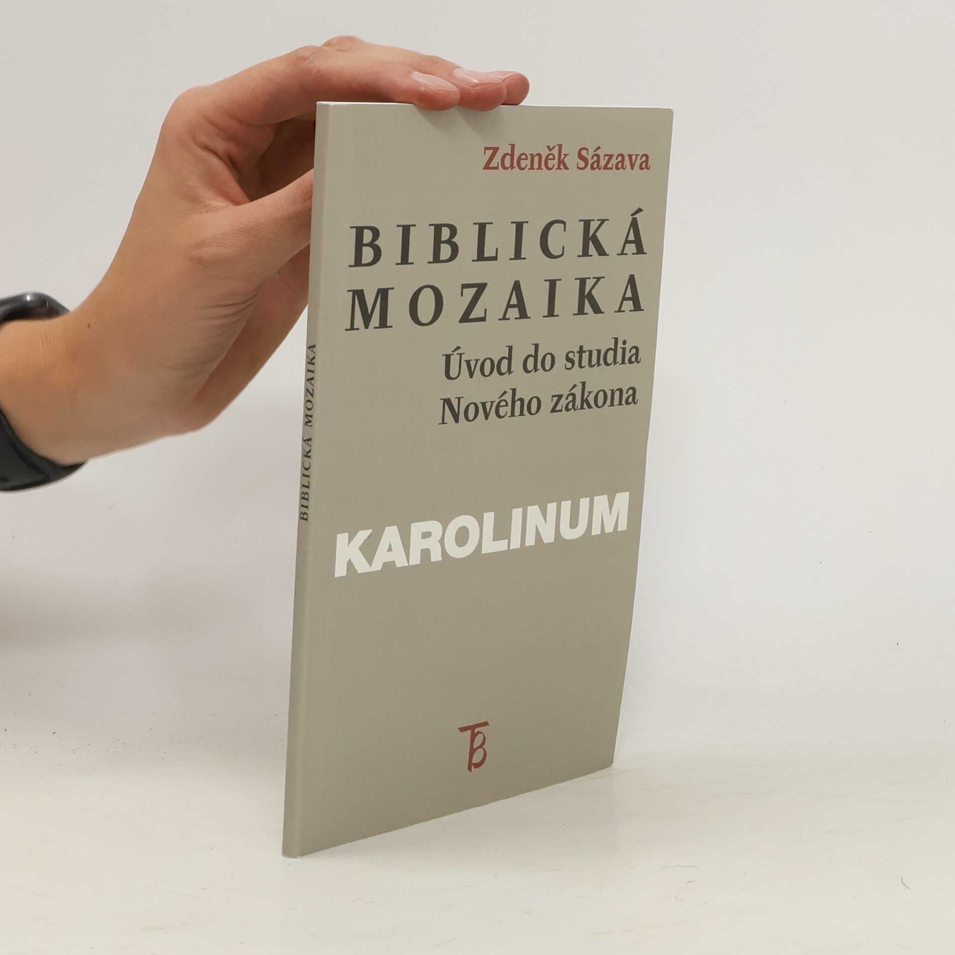 Zdeněk Sázava Biblická mozaika