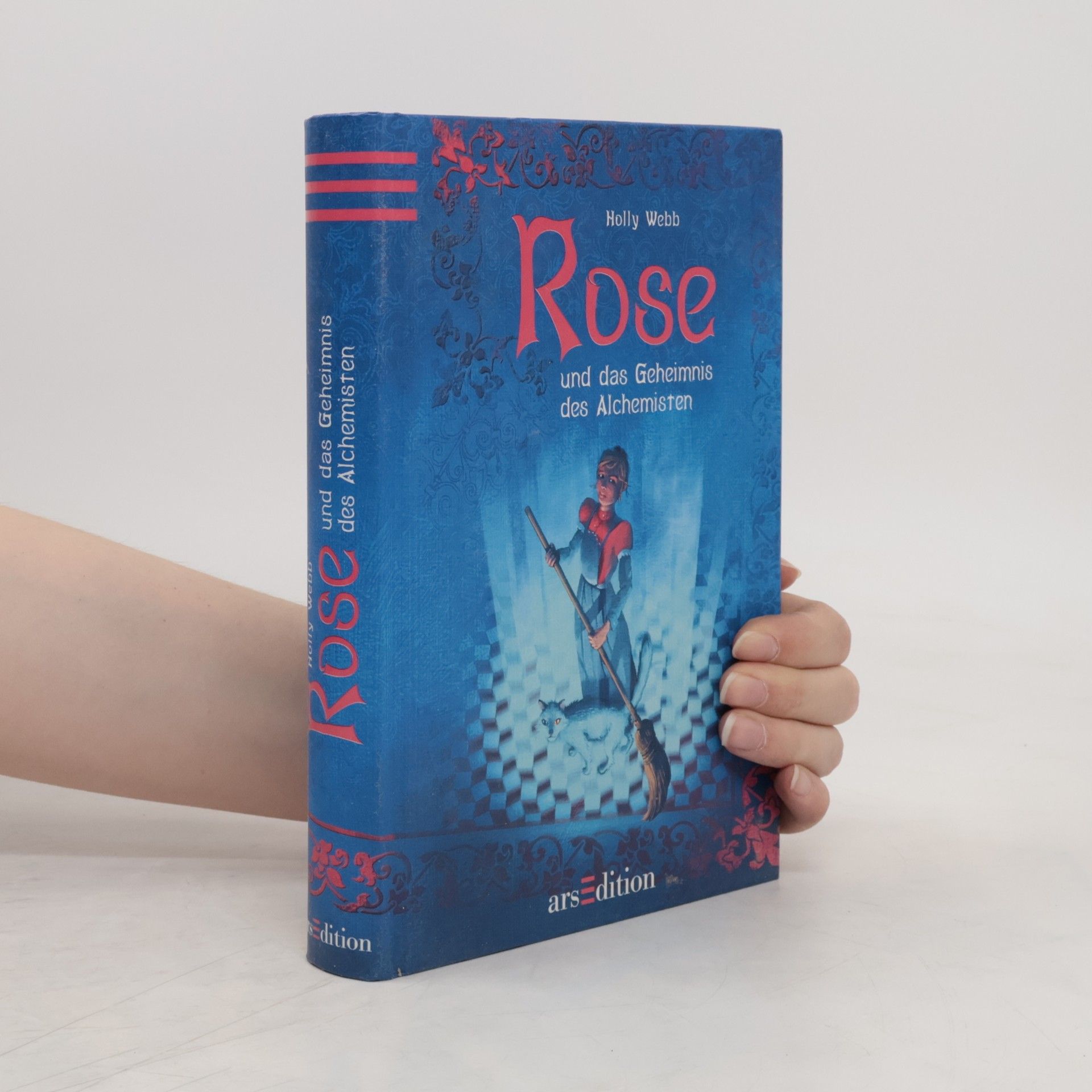 Holly Webb Rose und das Geheimnis des Alchemisten