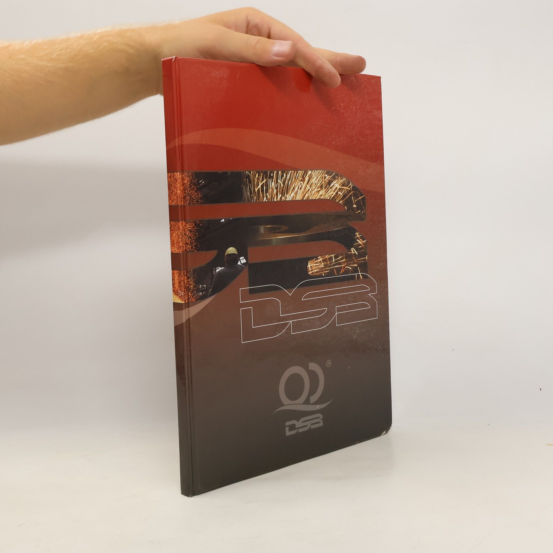 Kolektív autorov DSB