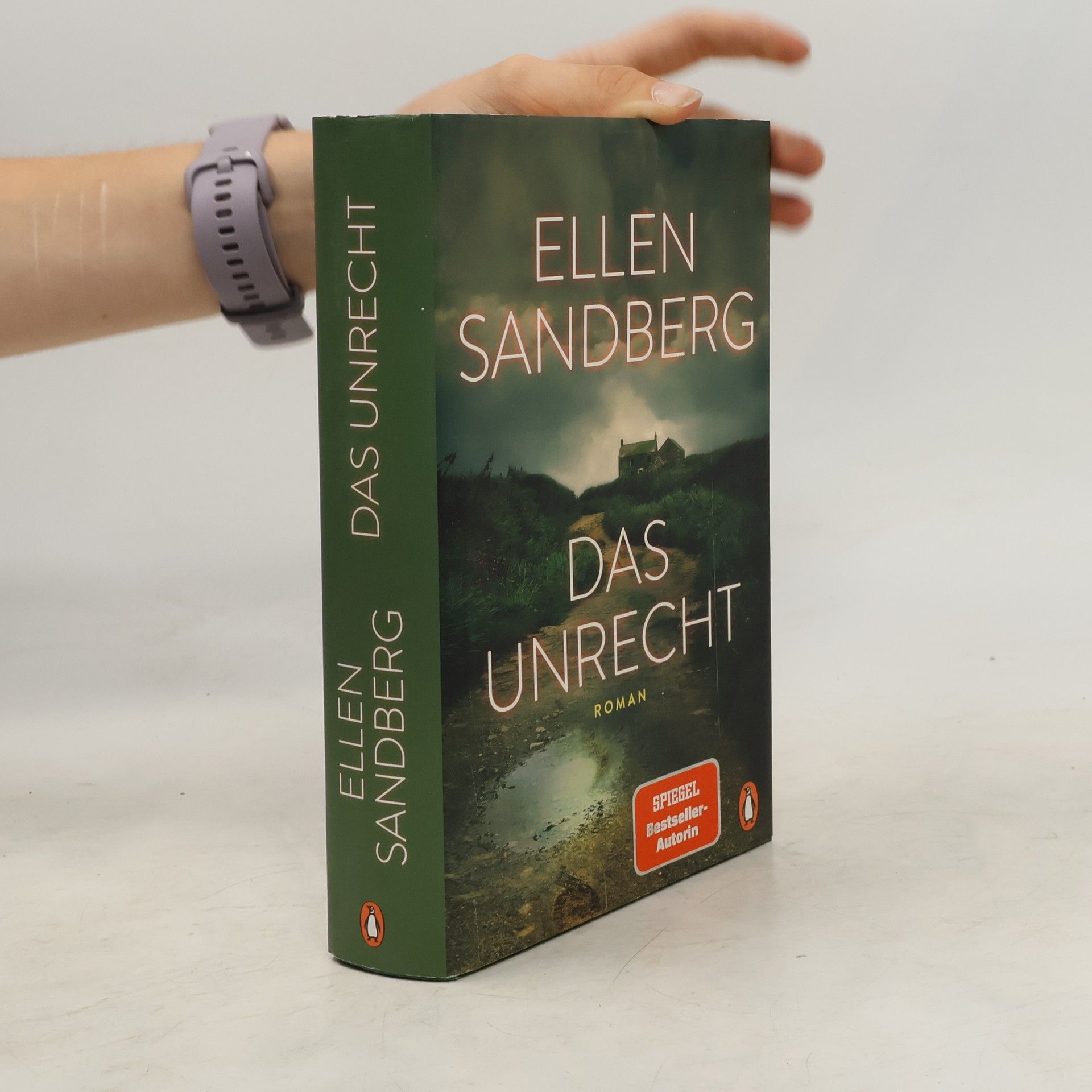 Ellen Sandberg Das Unrecht