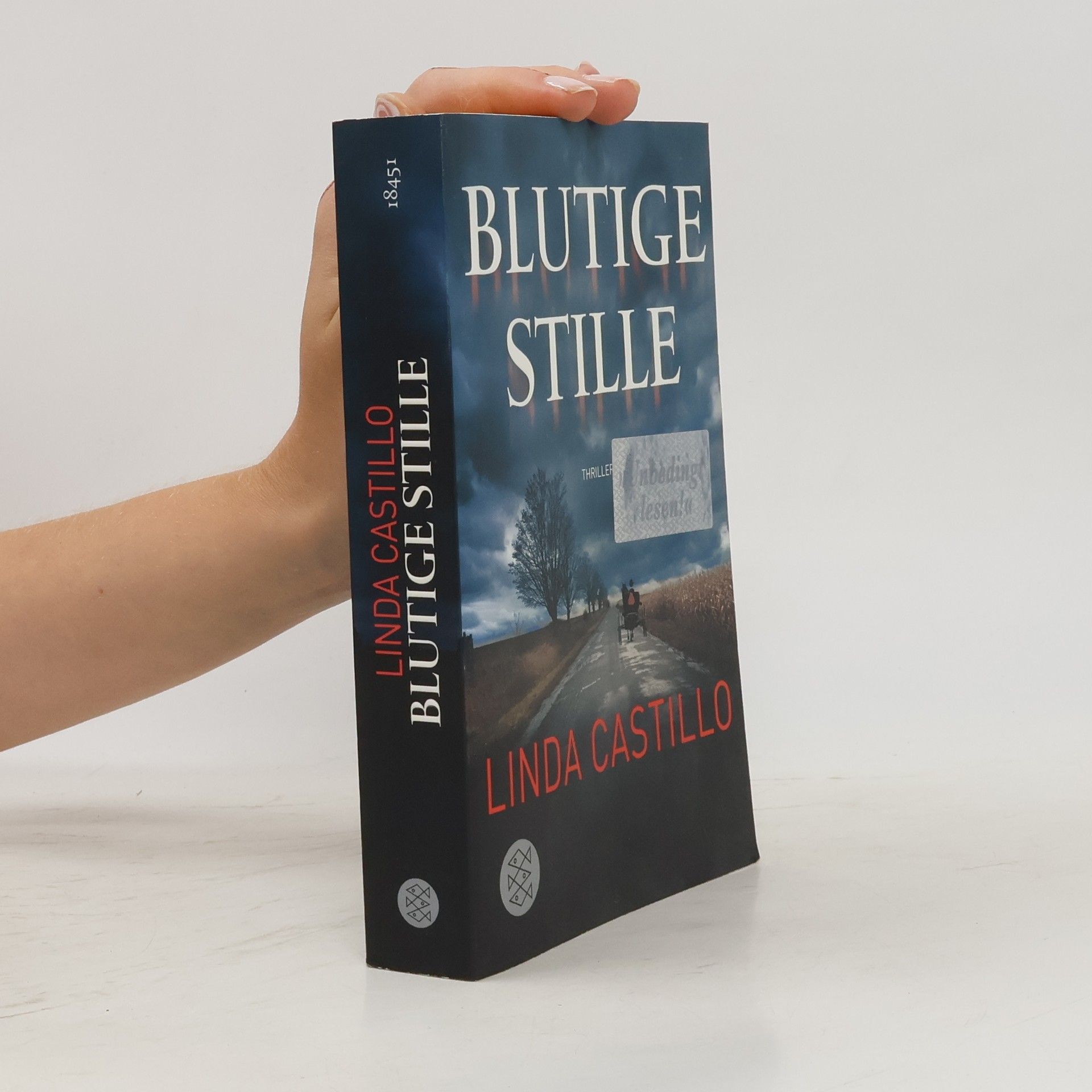 Linda Castillo Blutige Stille
