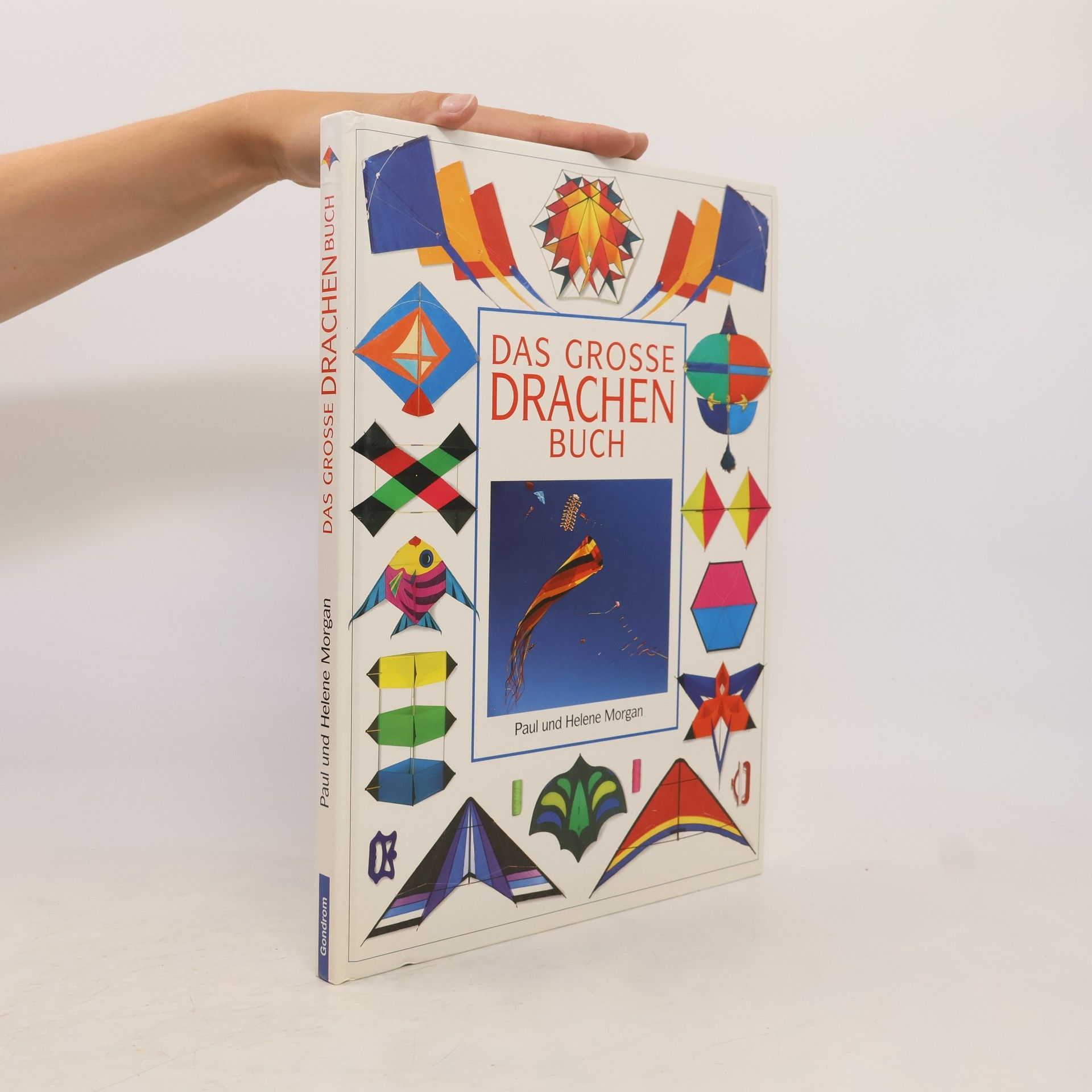 Paul Morgan Das grosse Drachenbuch