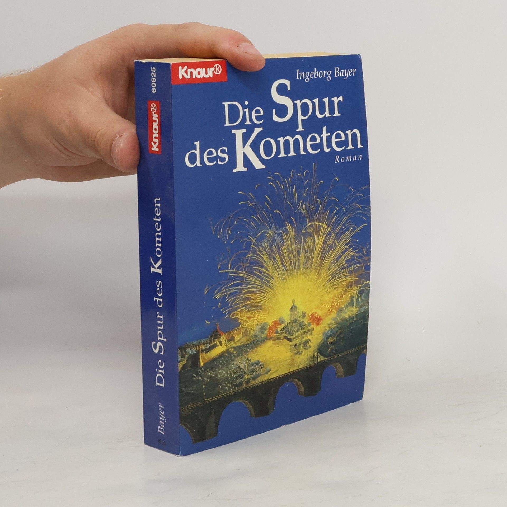 Ingeborg Bayer Die Spur des Kometen