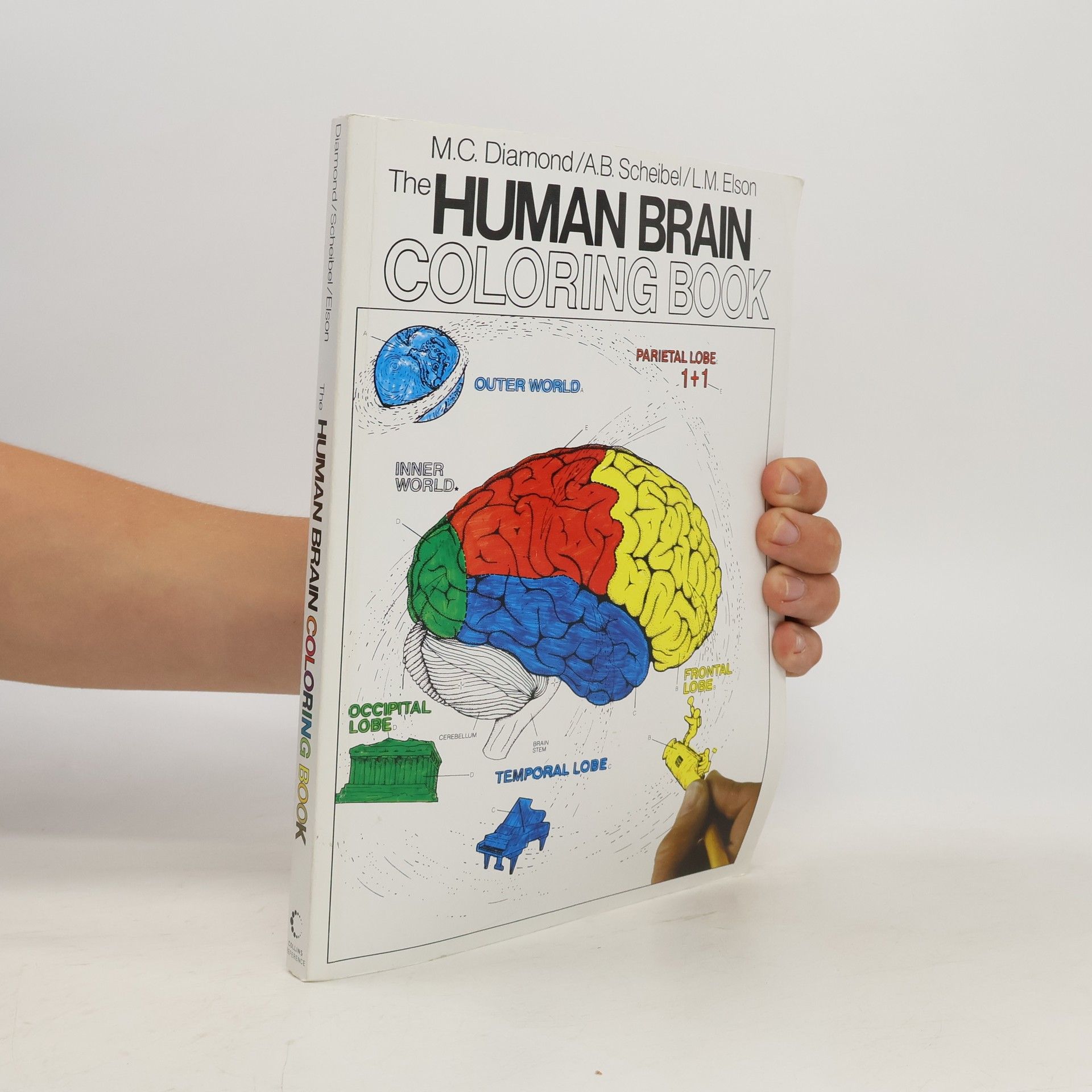 Marian C. Diamond The Human Brain Coloring Book