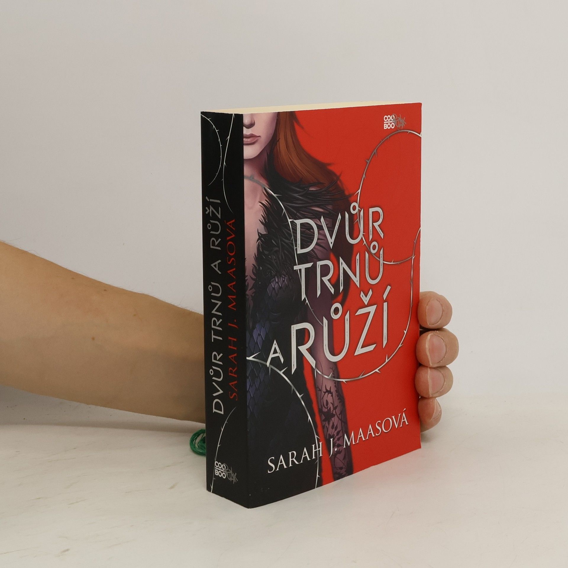 Sarah J. Maas Dvůr trnů a růží