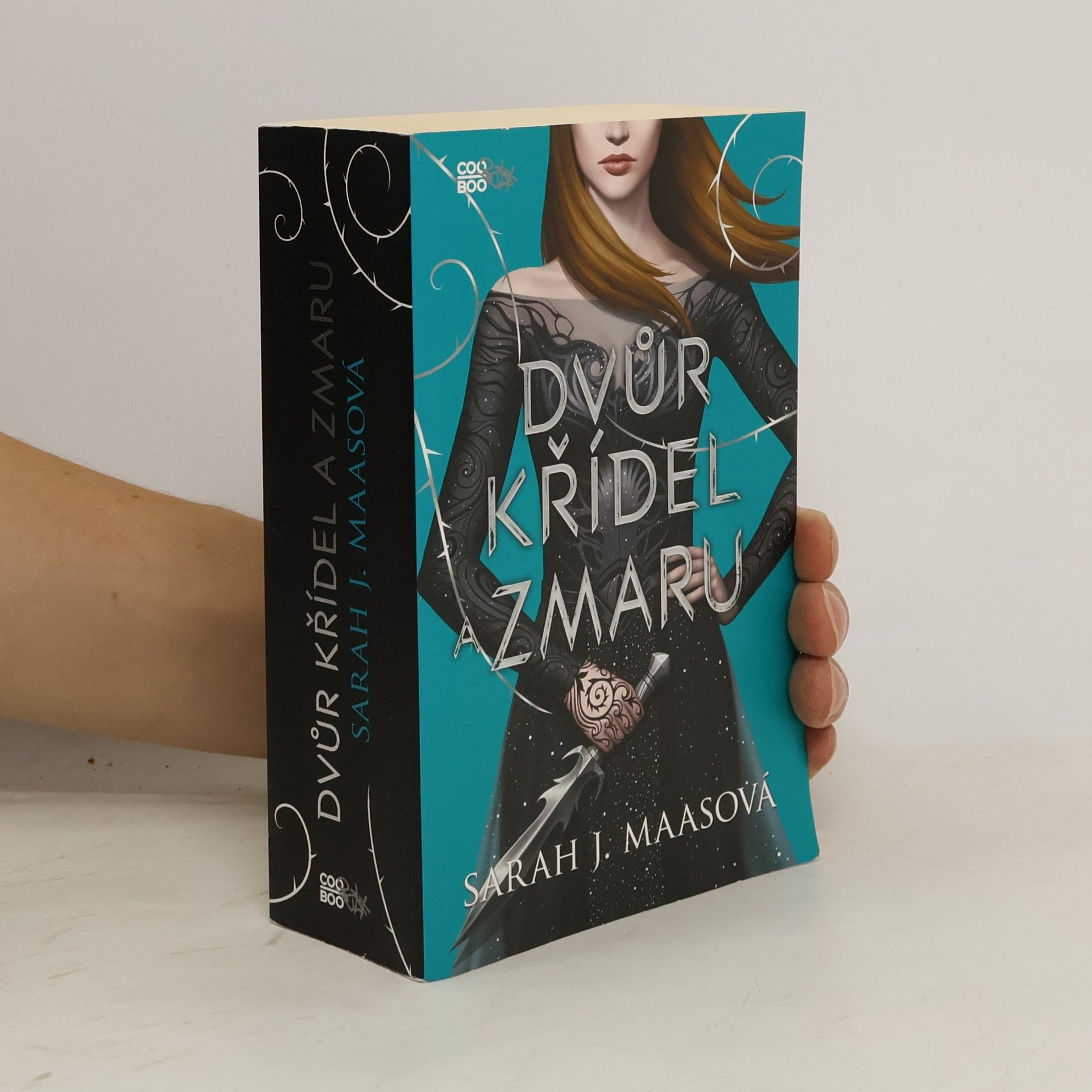 Sarah J. Maas Dvůr křídel a zmaru