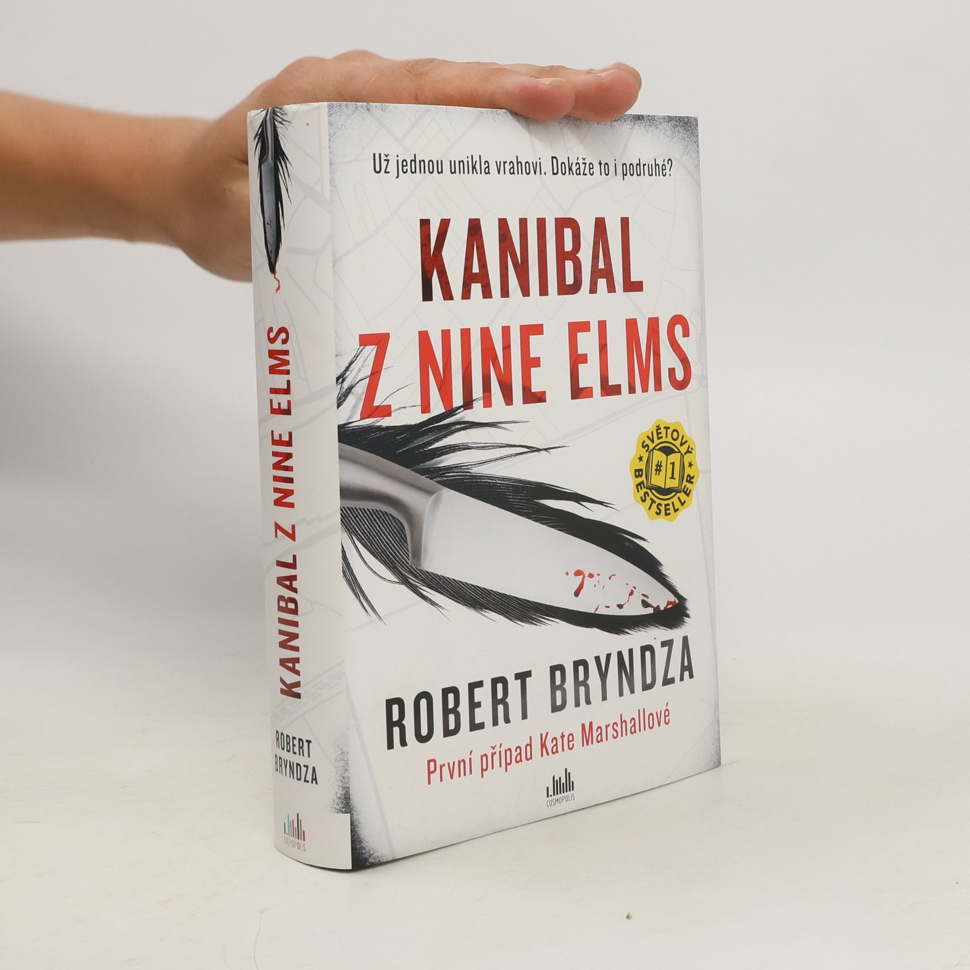 Robert Bryndza Kanibal z Nine Elms