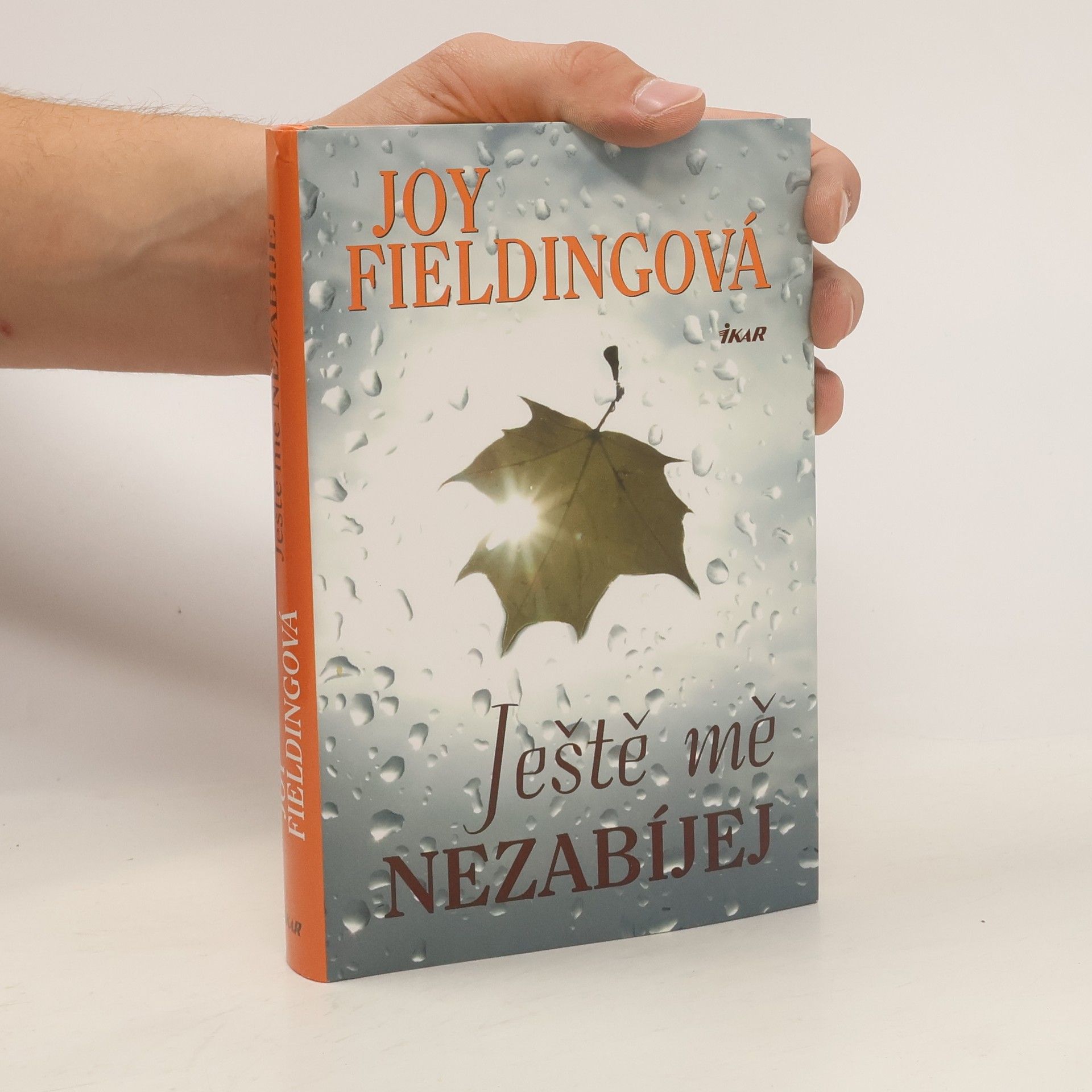 Joy Fielding Ještě mě nezabíjej
