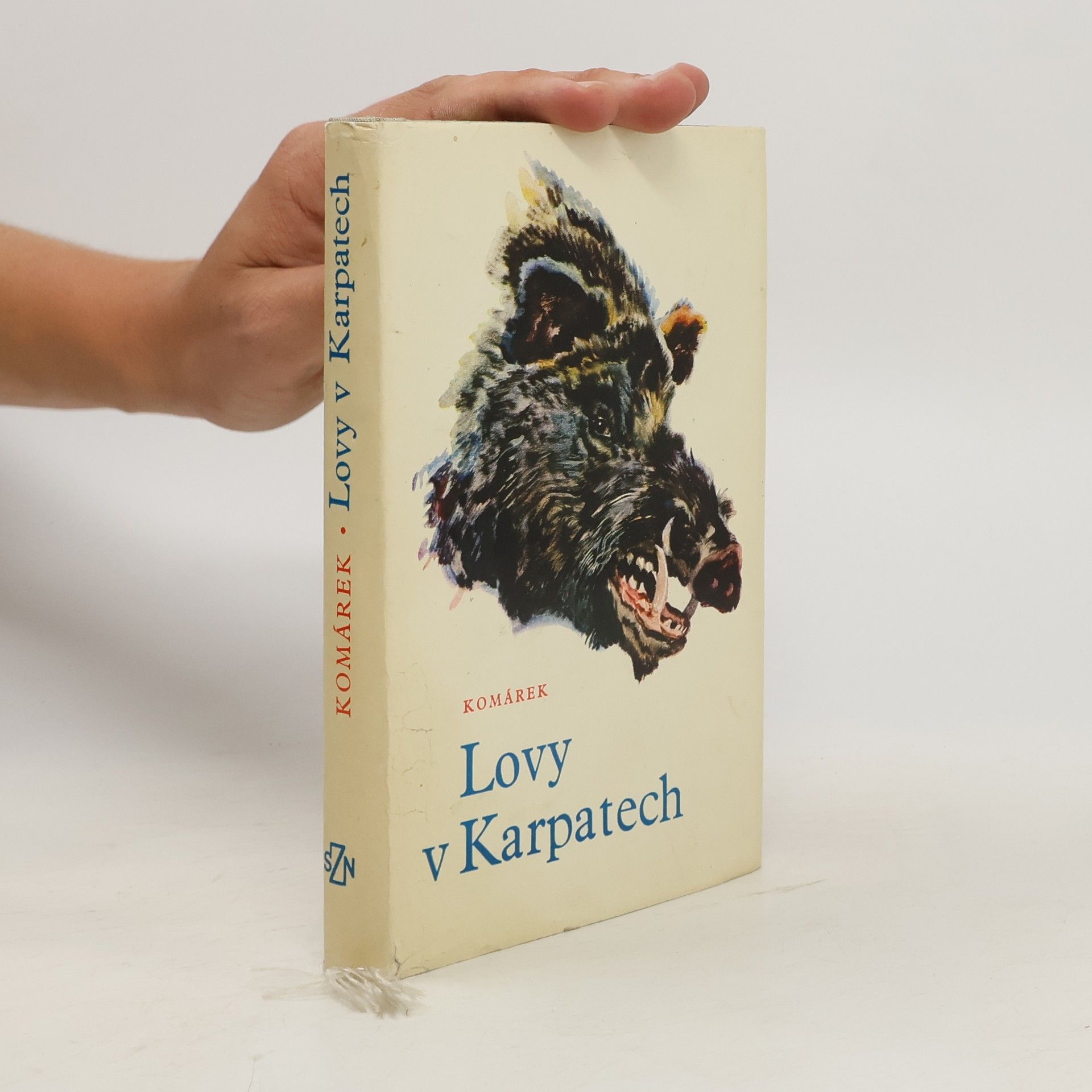 Julius Komárek Lovy v Karpatech