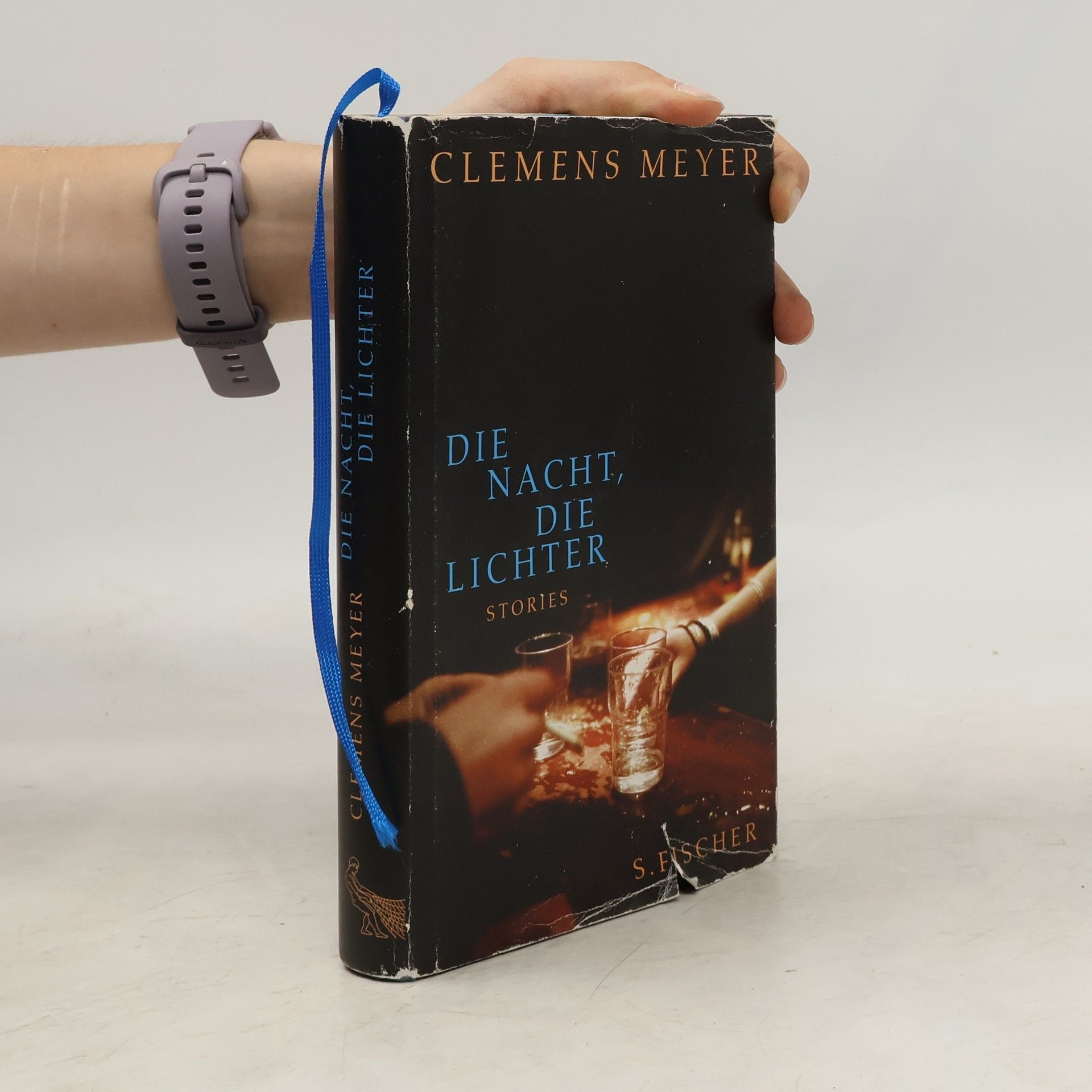 Clemens Meyer Die Nacht, die Lichter