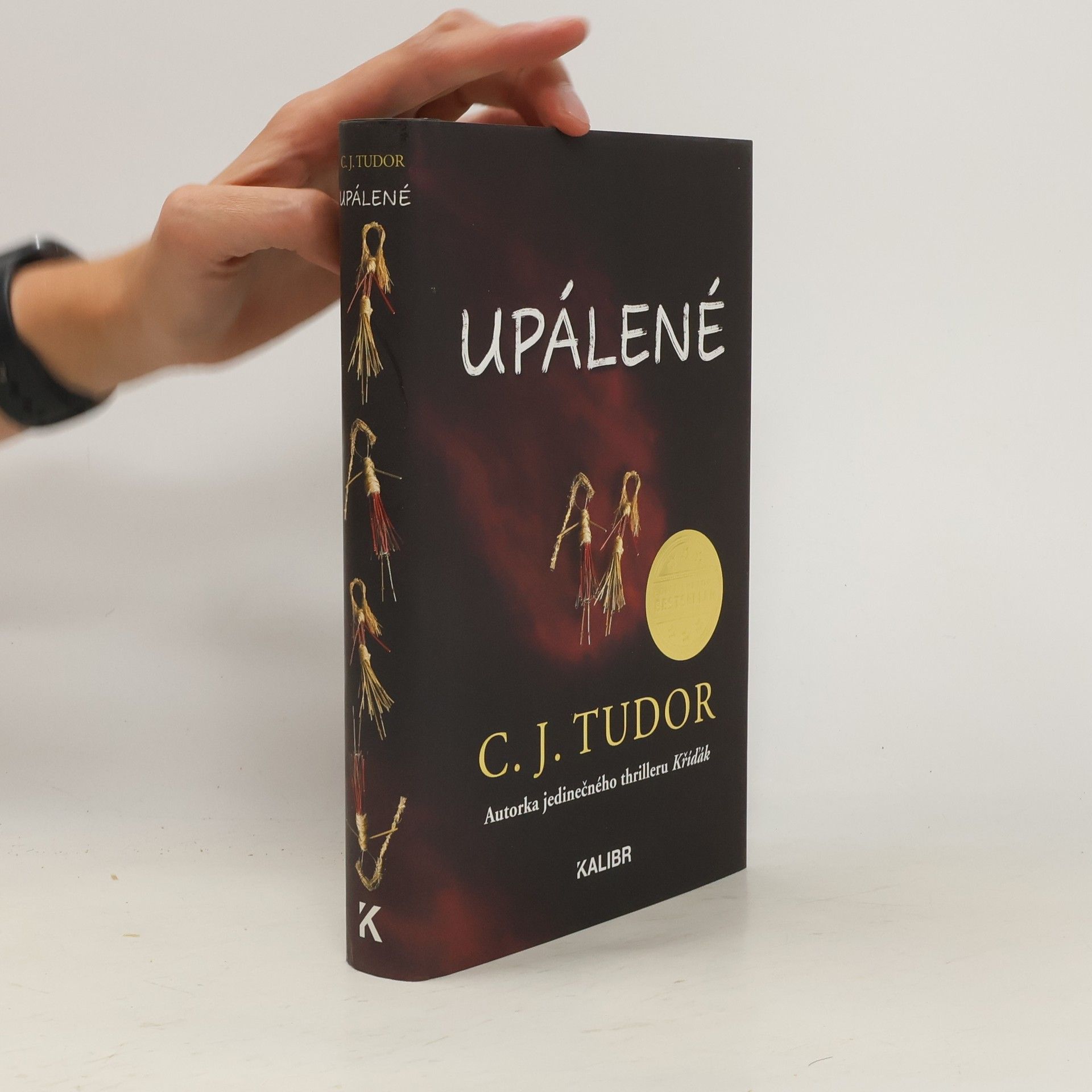 C. J. Tudor Upálené