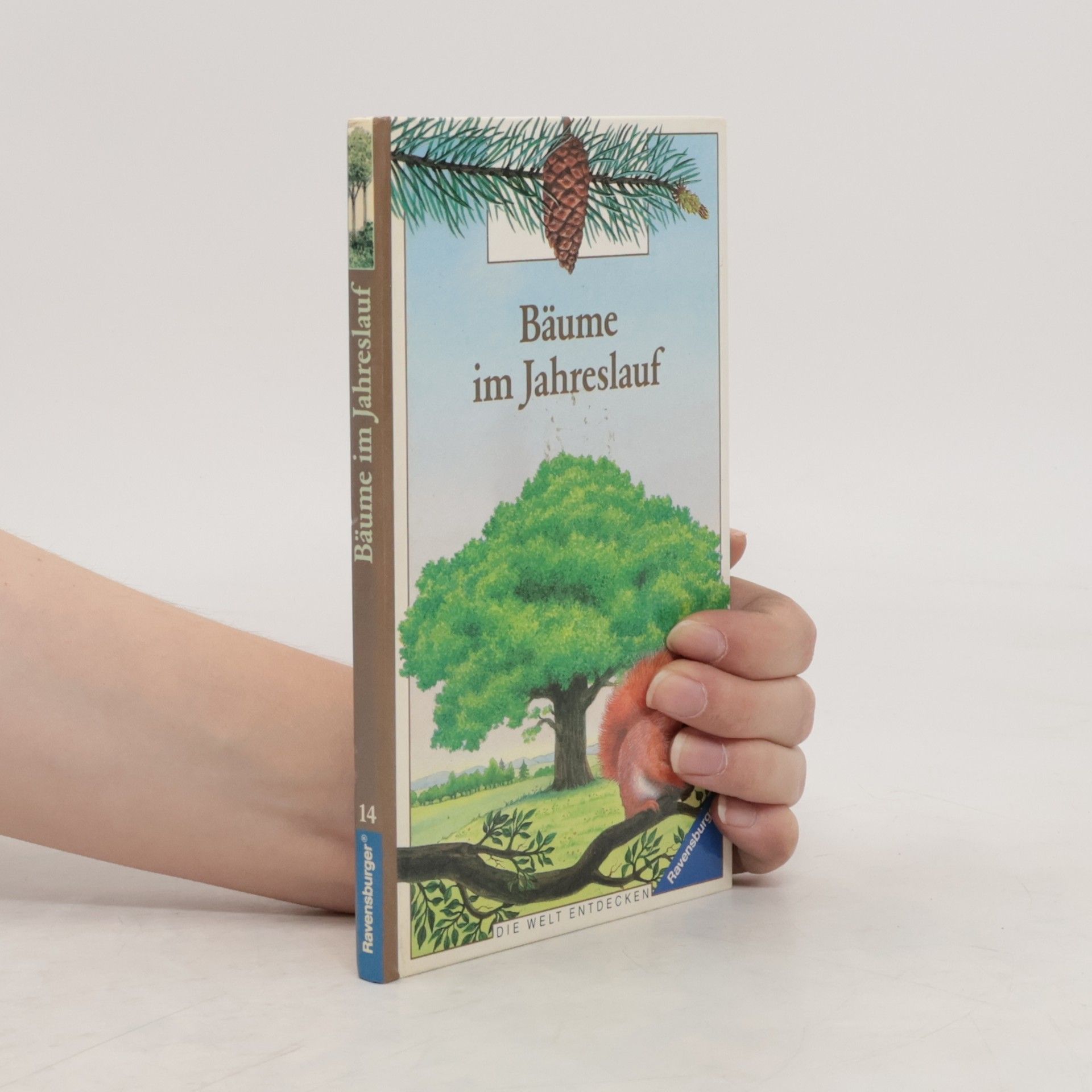 Gaud Morel Bäume im Jahreslauf