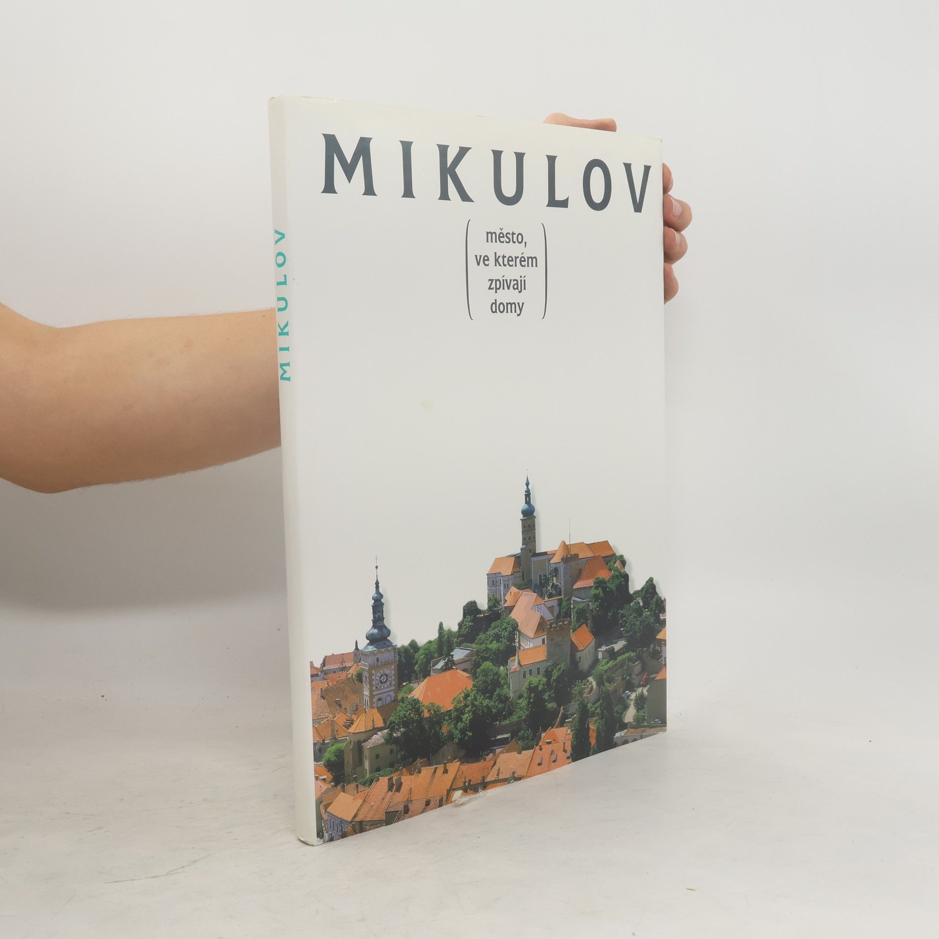 Kolektiv autorů Mikulov. Město, ve kterém zpívají domy
