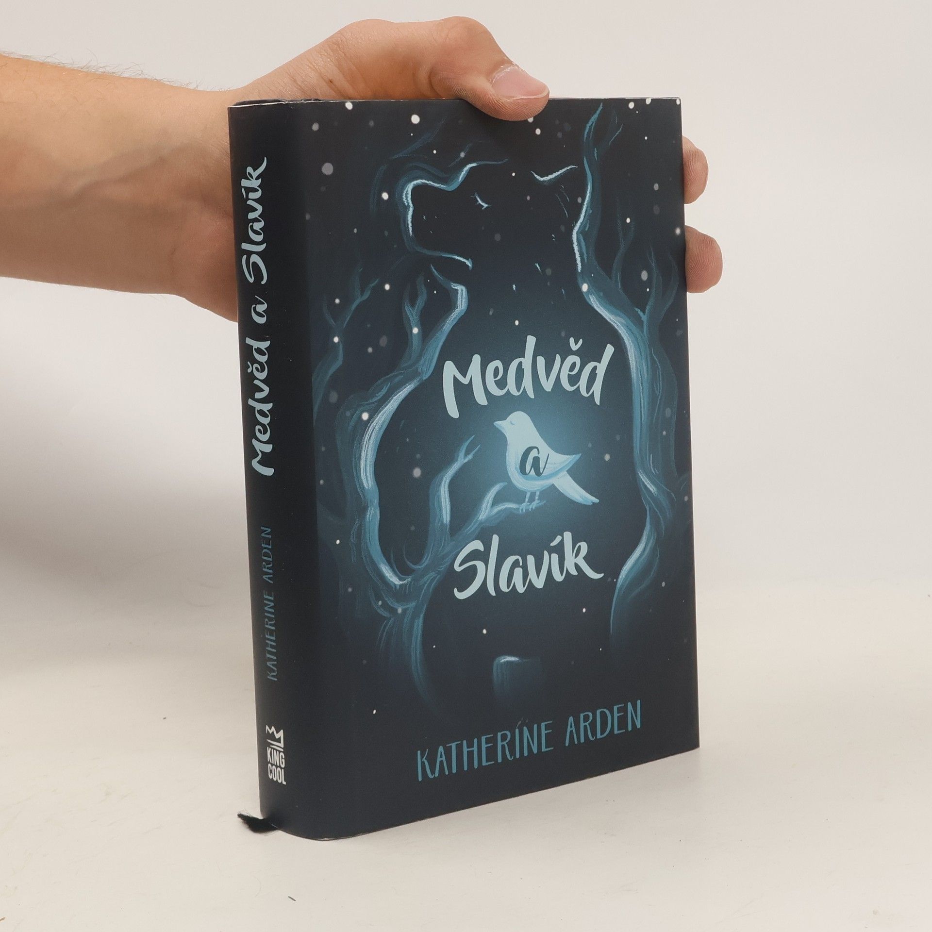 Katherine Arden Medvěd a Slavík