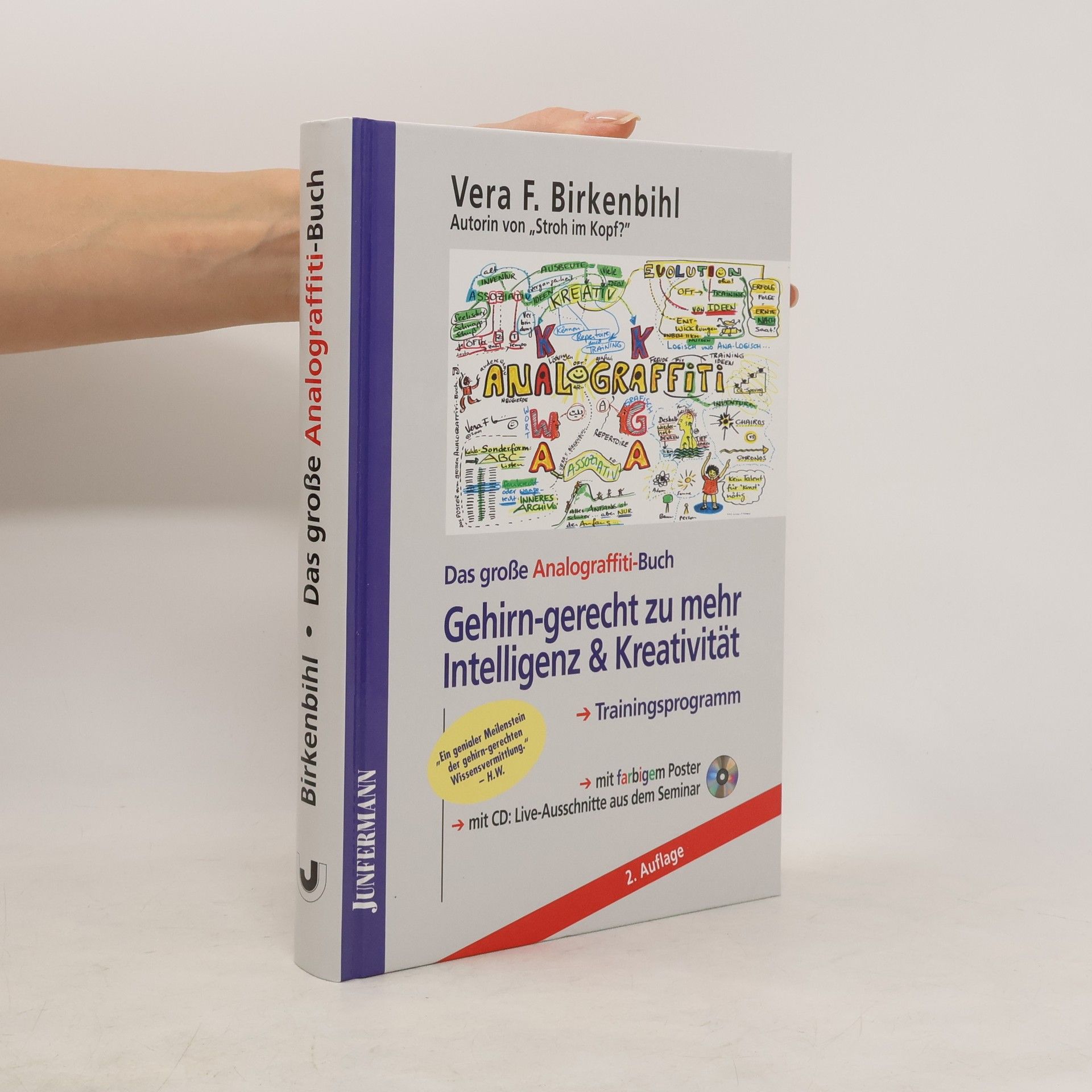 kolektiv Das große Analograffiti-Buch