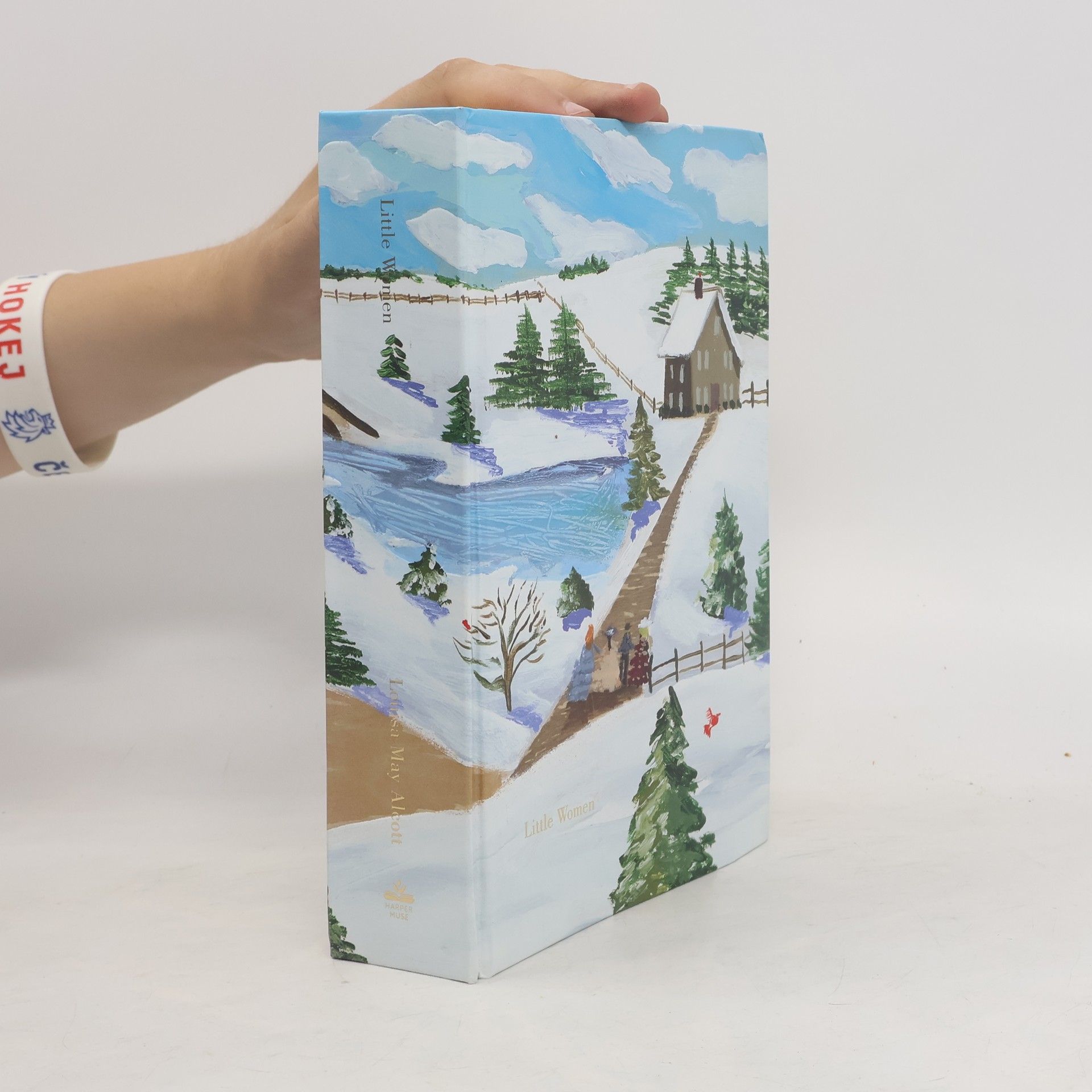 Louisa May Alcott Little Women (Painted Edition)