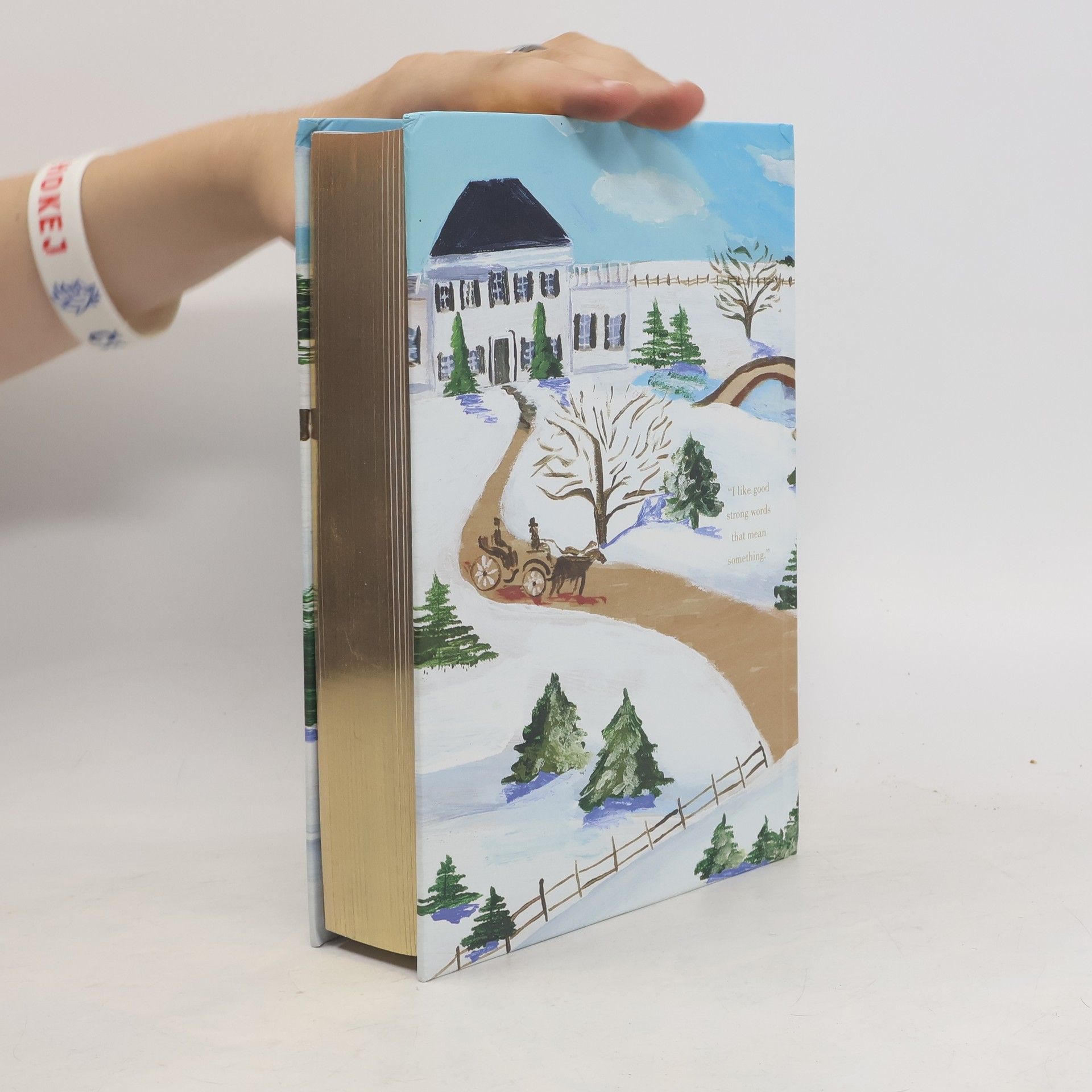 Louisa May Alcott Little Women (Painted Edition)