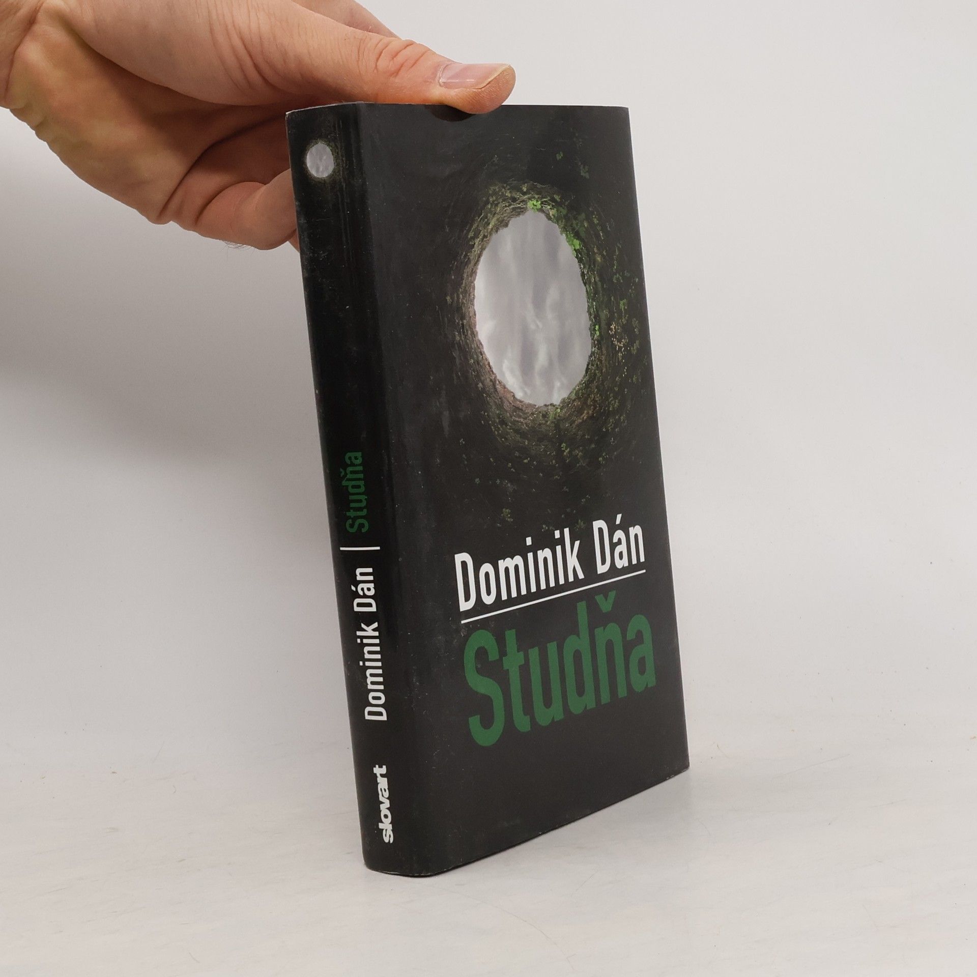 Dominik Dán Studňa